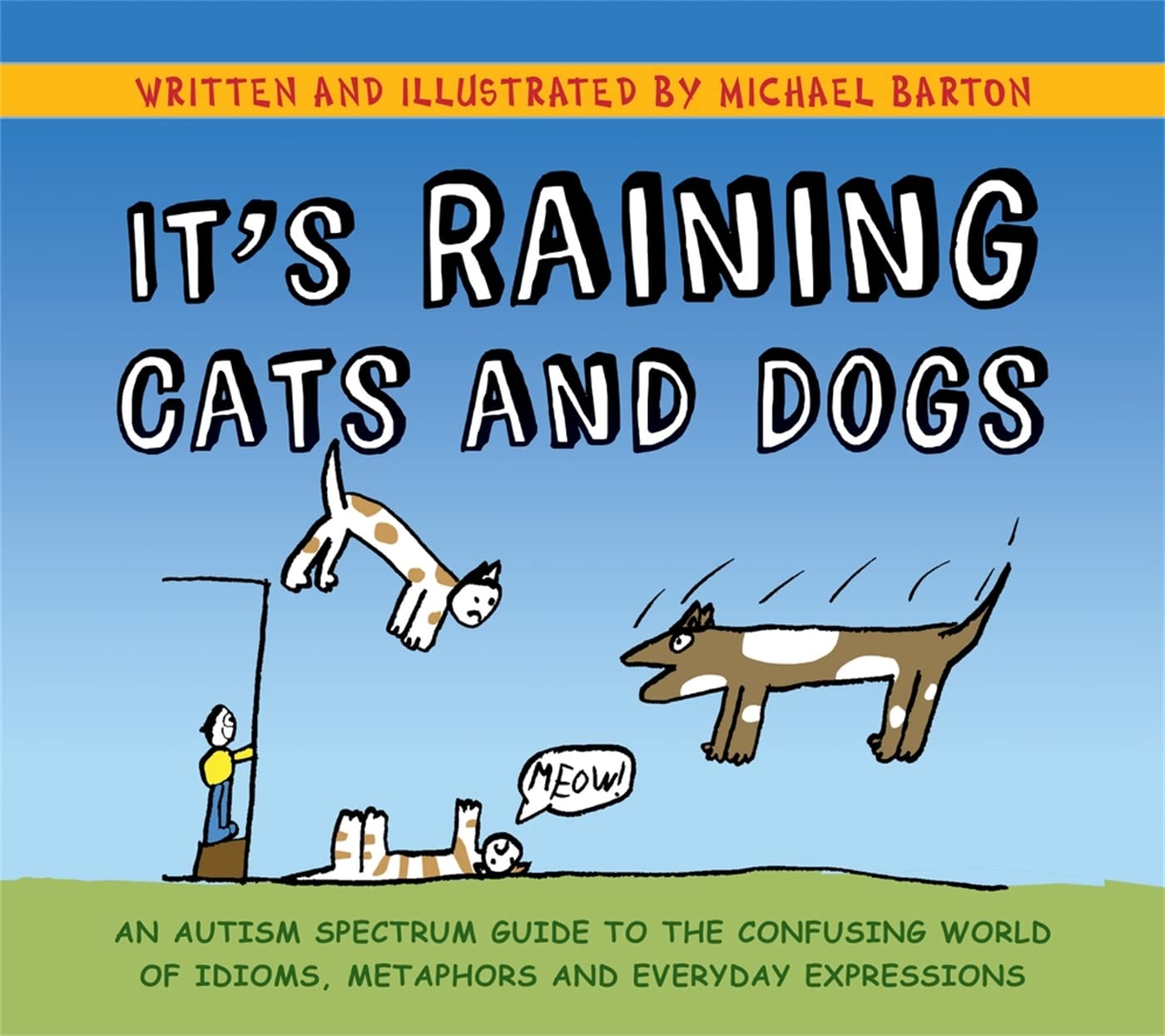 It's Raining Cats and Dogs: An Autism Spectrum Guide to the Confusing World of Idioms, Metaphors and Everyday Expressions book