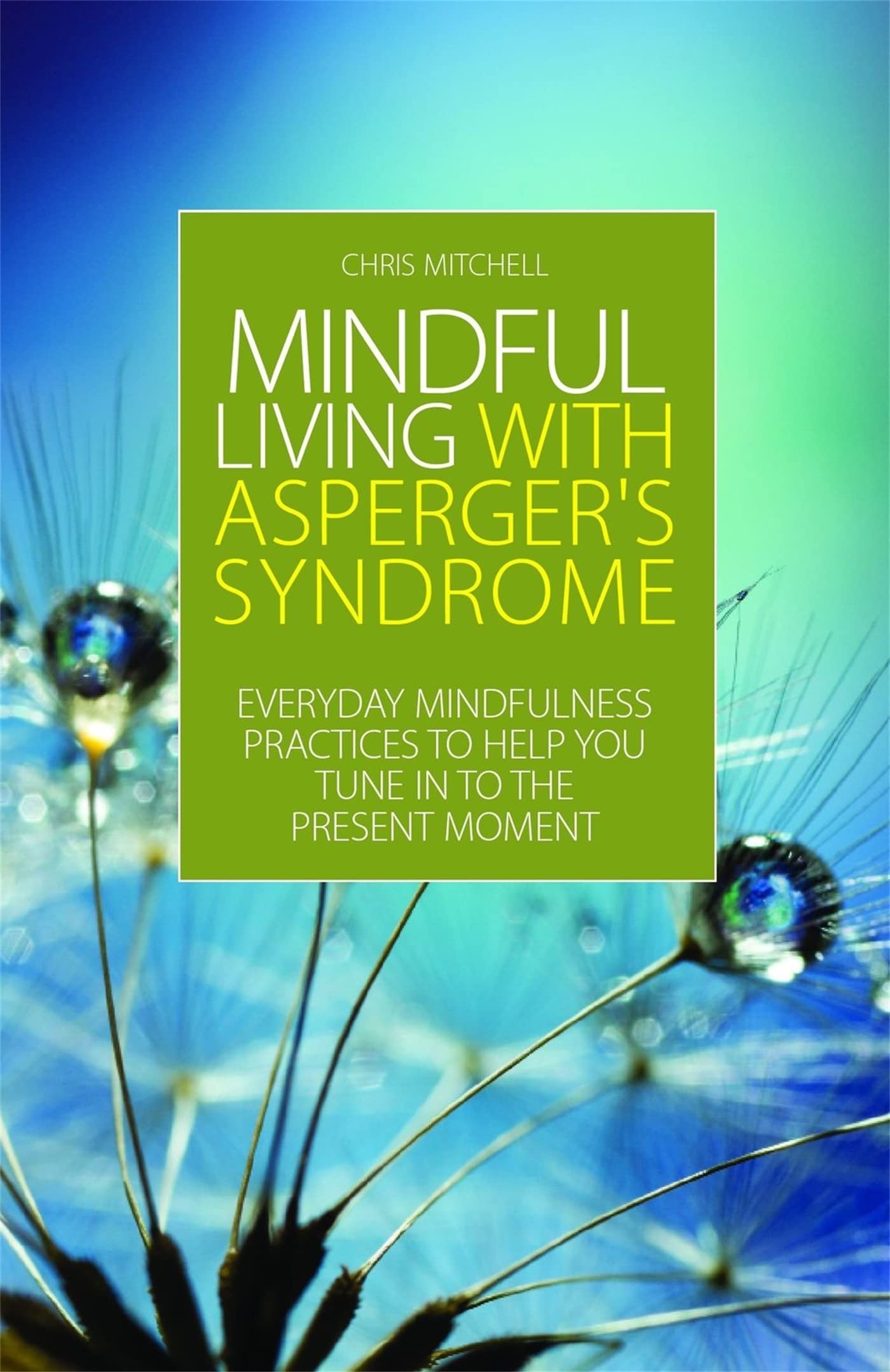 Mindful Living With Aspergers Syndrome: Everyday Mindfulness Practices to Help You Tune in to the Present Moment Medicine