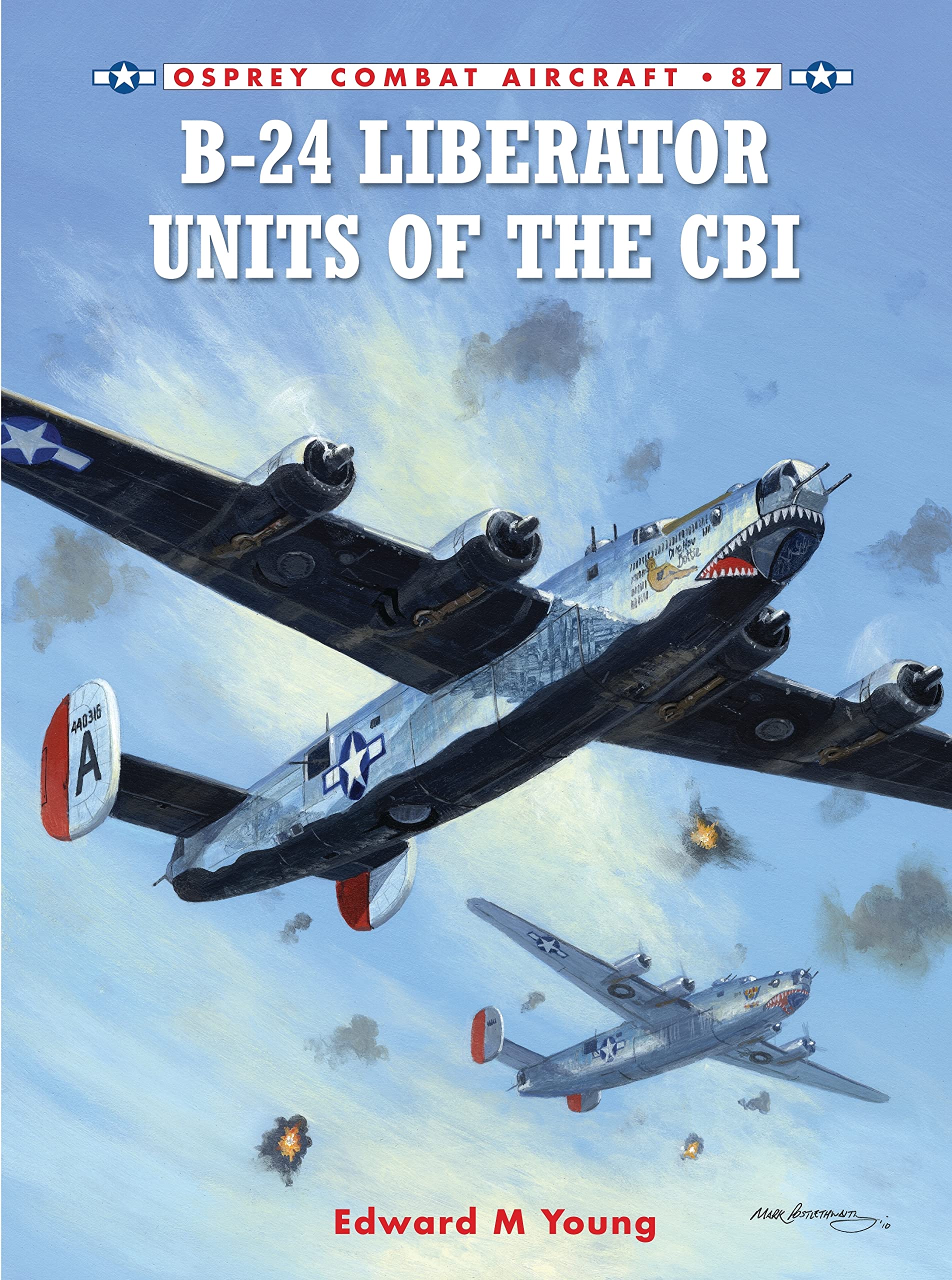 B-24 Liberator Units of the CBI (Combat Aircraft, Band 87) Social Sciences