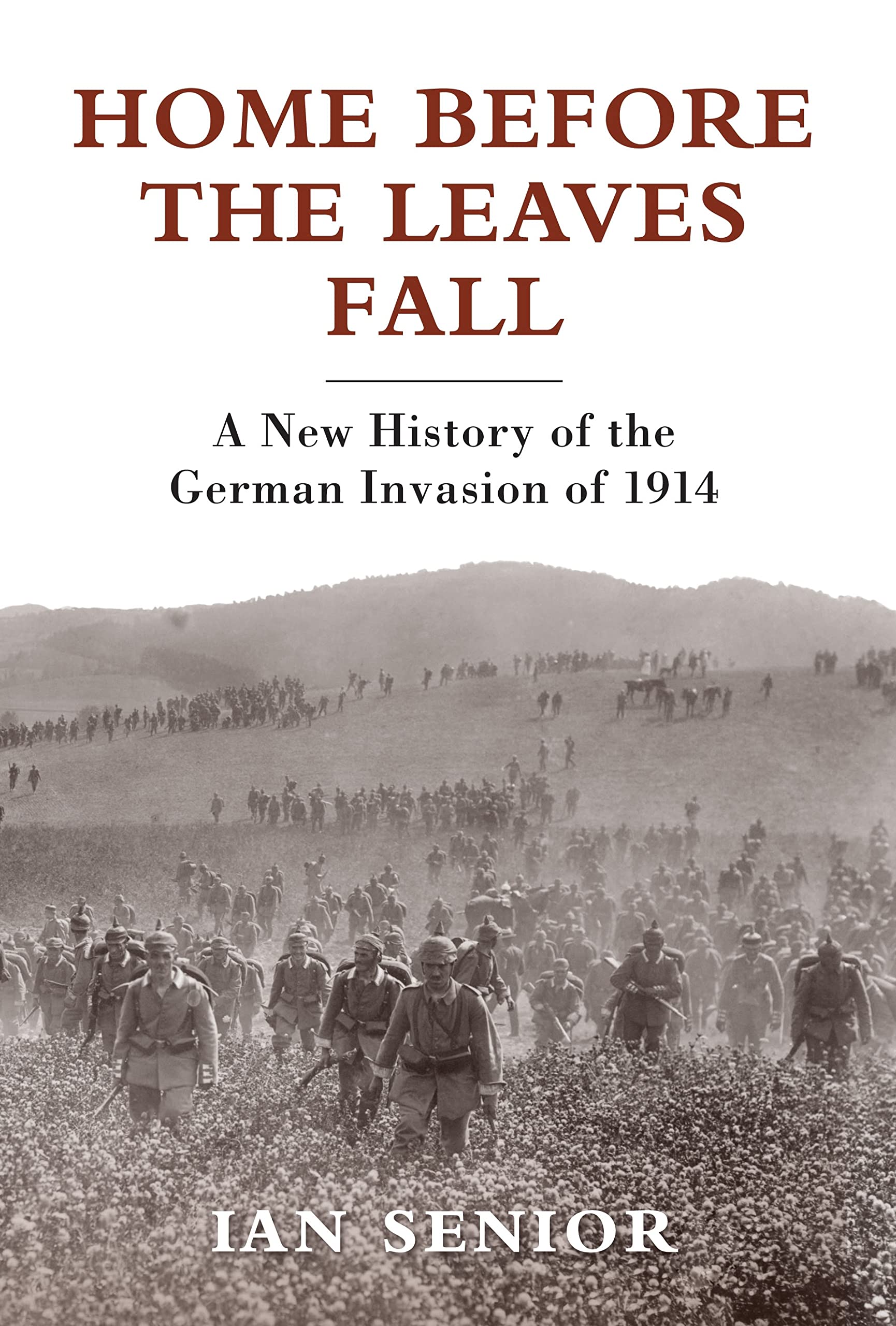 Home Before the Leaves Fall: A New History of the German Invasion of 1914. book