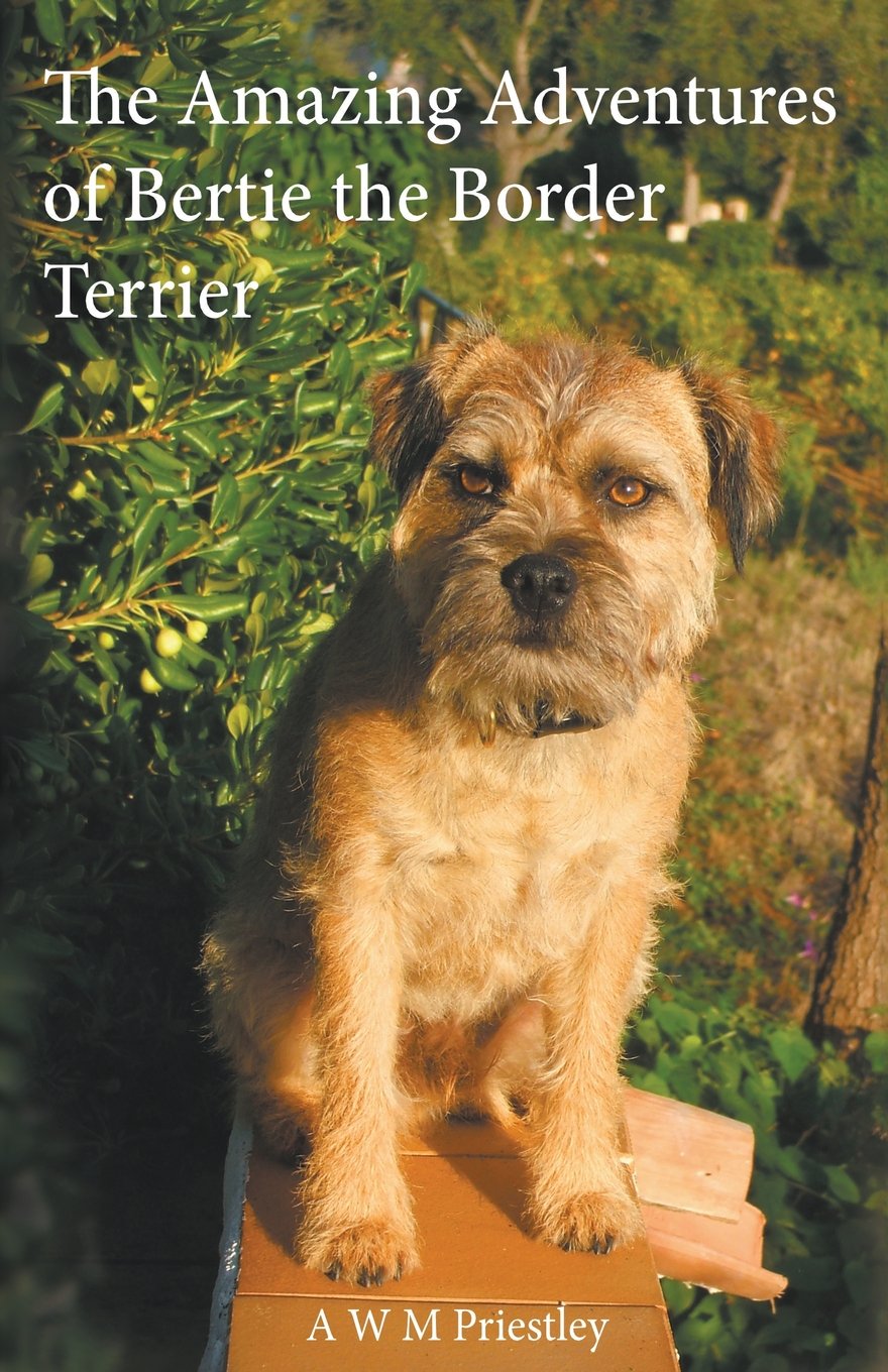 The Amazing Adventures of Bertie the Border Terrier book