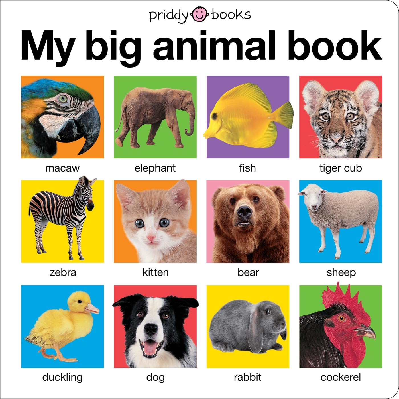 My Big Book of Animals book