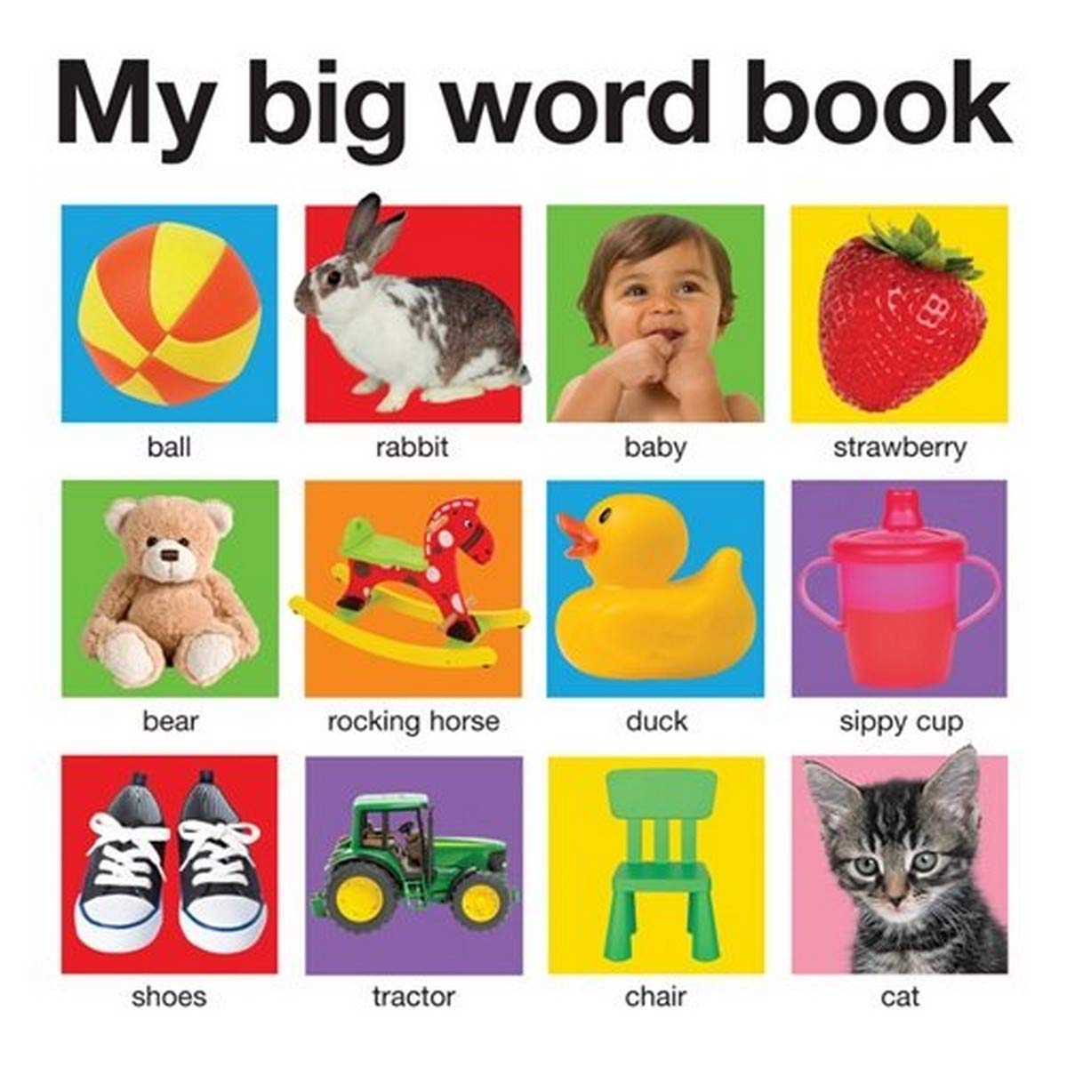 My Big Word Book: My Big Books Parents & Children