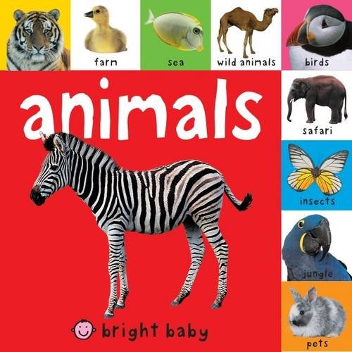 Animals: Wipe Clean Activity Flashcards: Lift The Tab Books Parents & Children