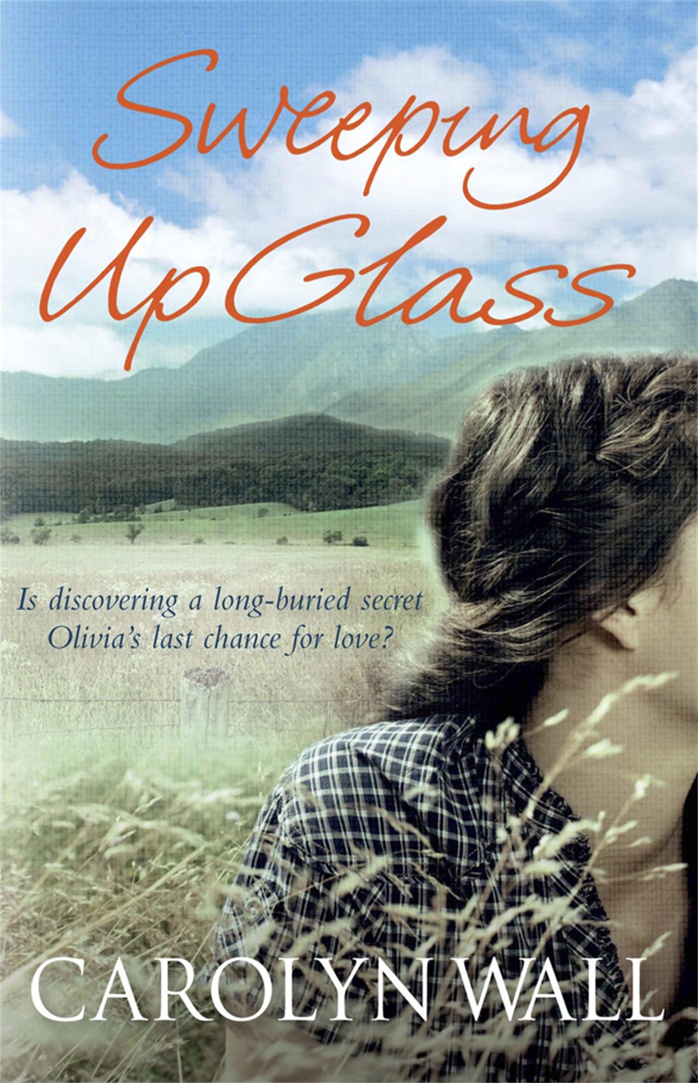 Sweeping Up Glass Contemporary literature Books