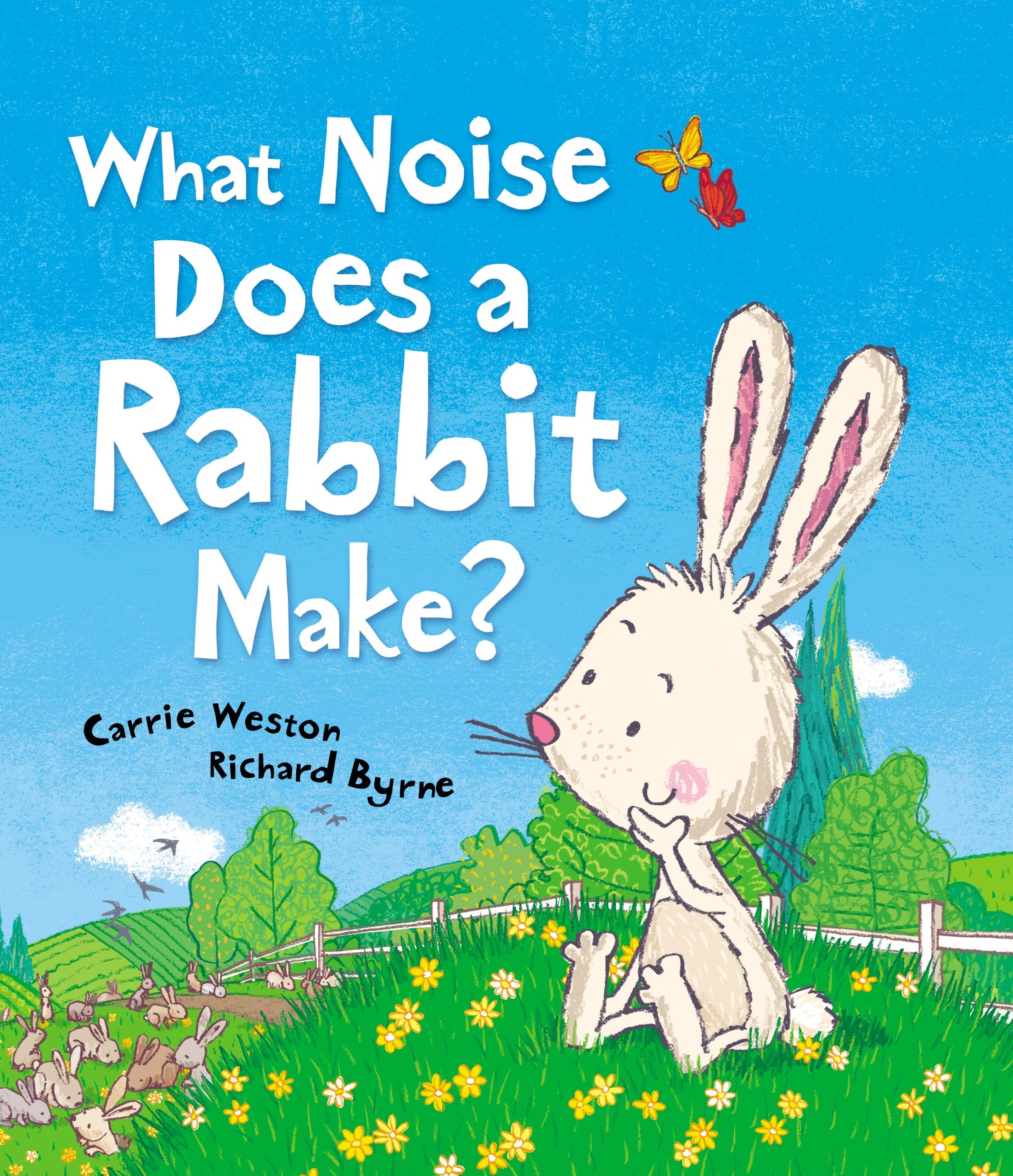Product Image: Weston, C: What Noise Does a Rabbit Make?