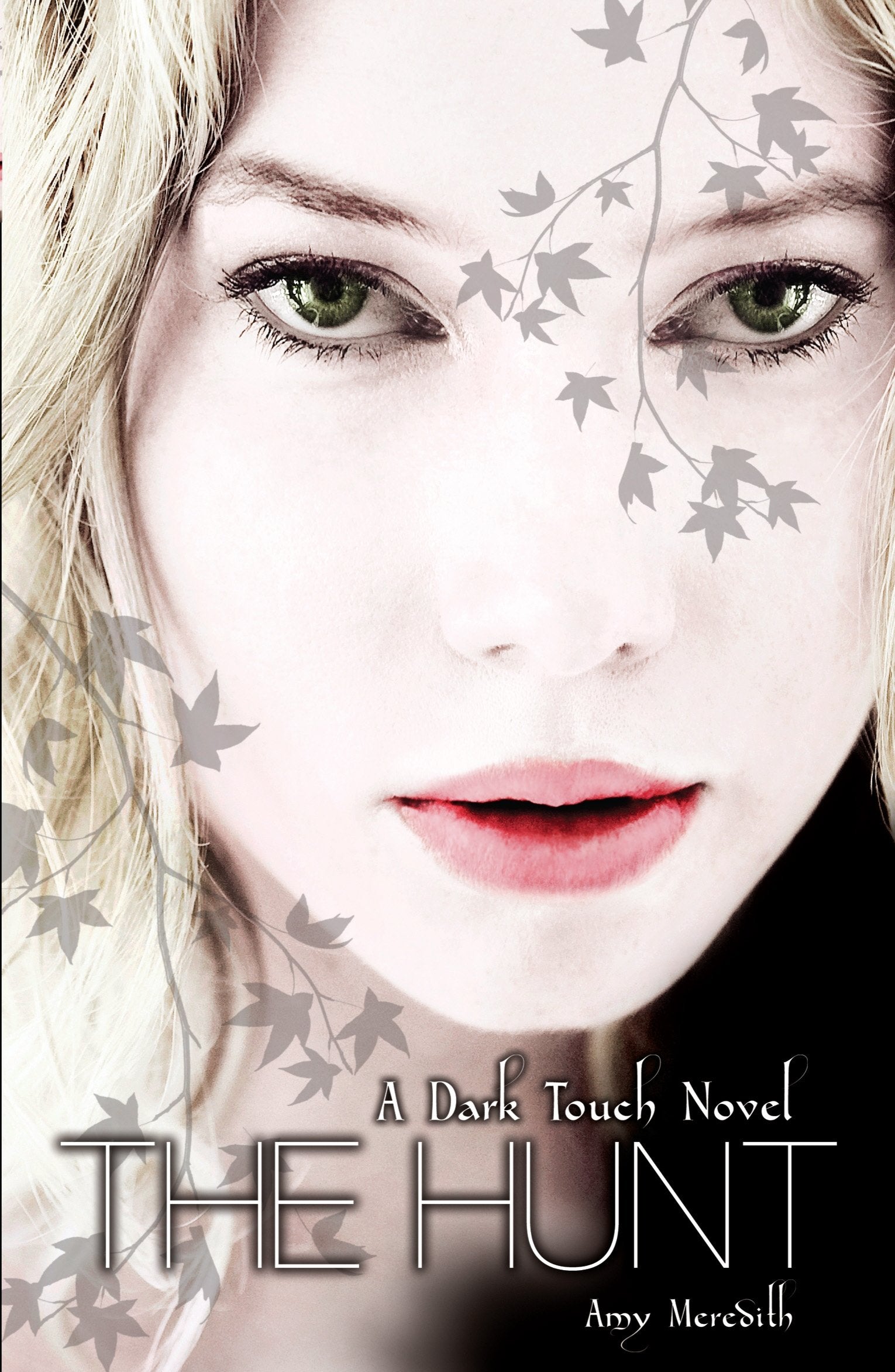 Dark Touch: The Hunt (Dark Touch, 2) Horror & Mystery
