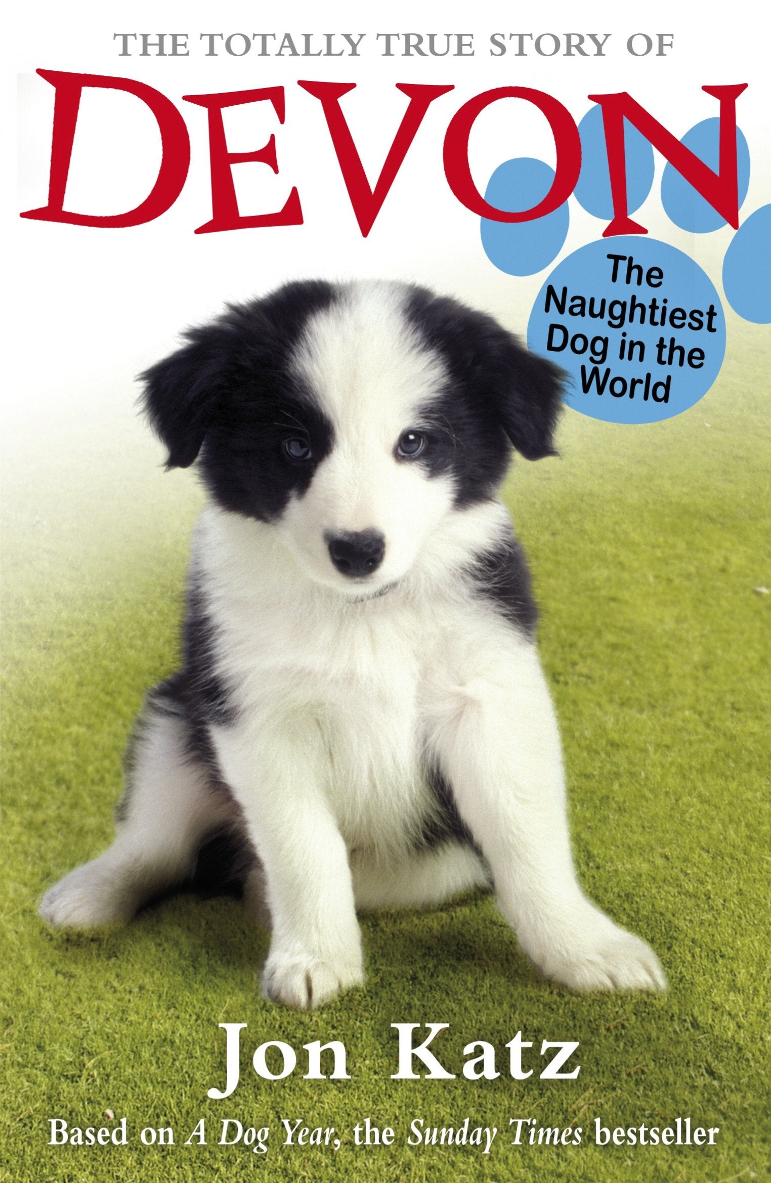 The Totally True Story of Devon The Naughtiest Dog in the World Novels & Short Stories