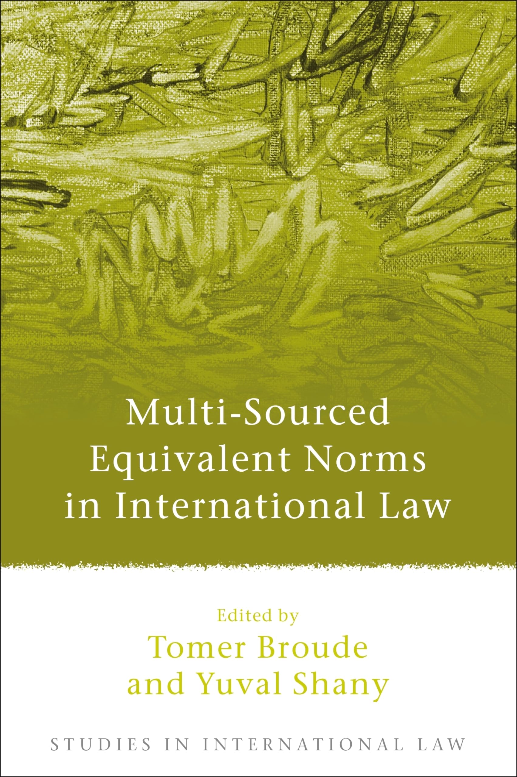 Multi-Sourced Equivalent Norms in International Law Law