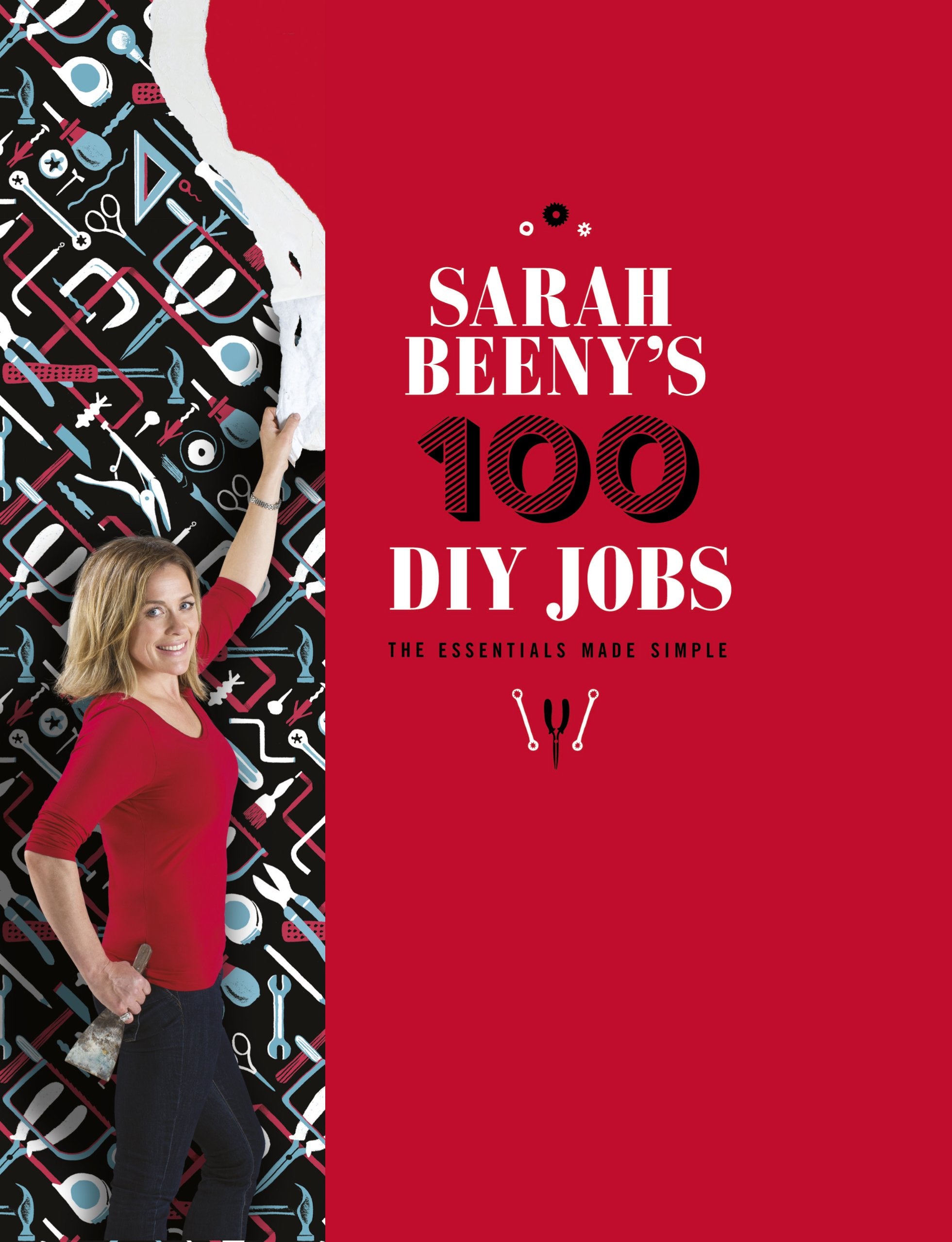 Sarah Beeny's 100 DIY Jobs Hobbies & Crafts
