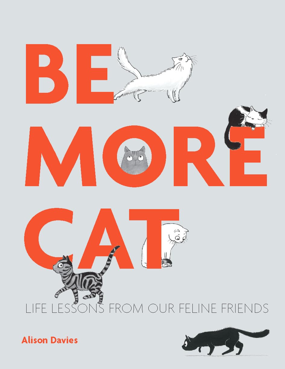 Be More Cat Business, Finance & Career