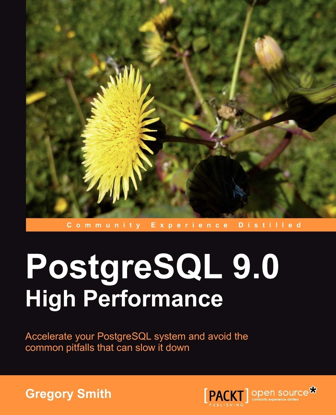 PostgreSQL 9.0 High Performance Computer Science