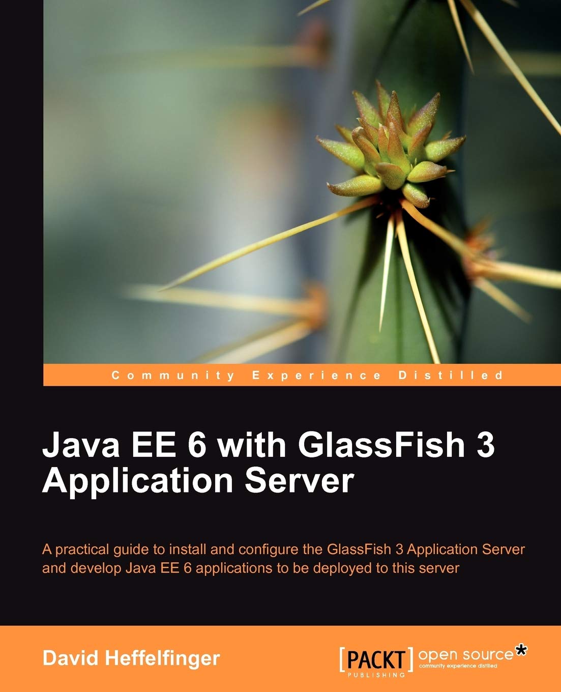 Java Ee 6 with Glassfish 3 Application Server Computer Science