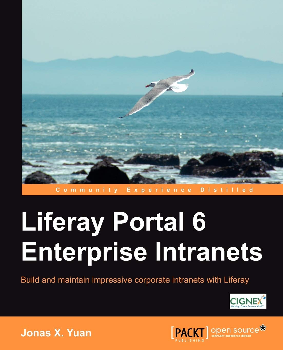 Liferay Portal 6 Enterprise Intranets Computer Science
