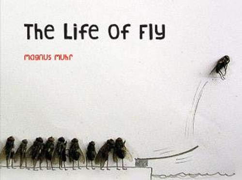 The Life of Fly Travel
