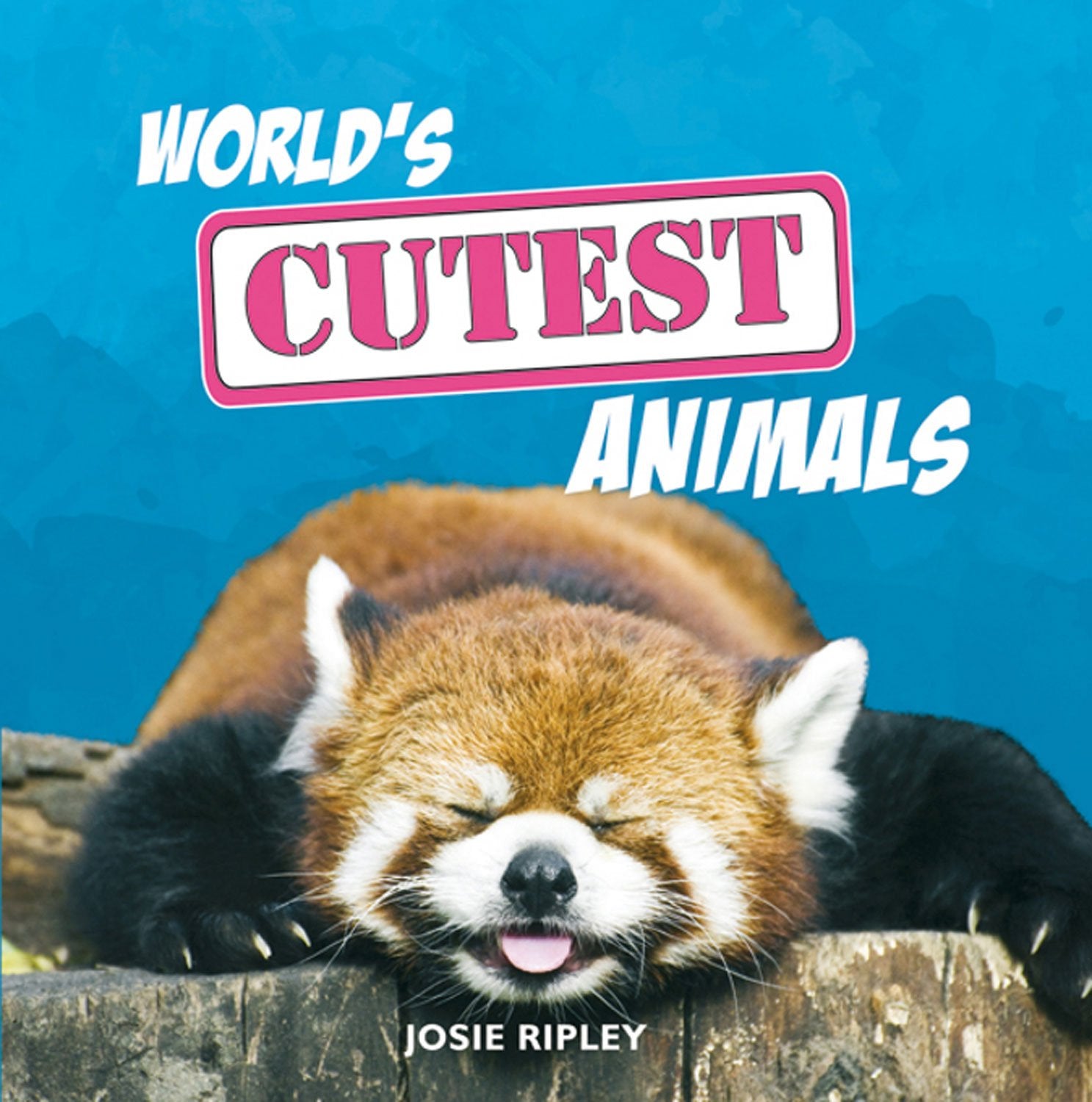 World's Cutest Animals Mathematics