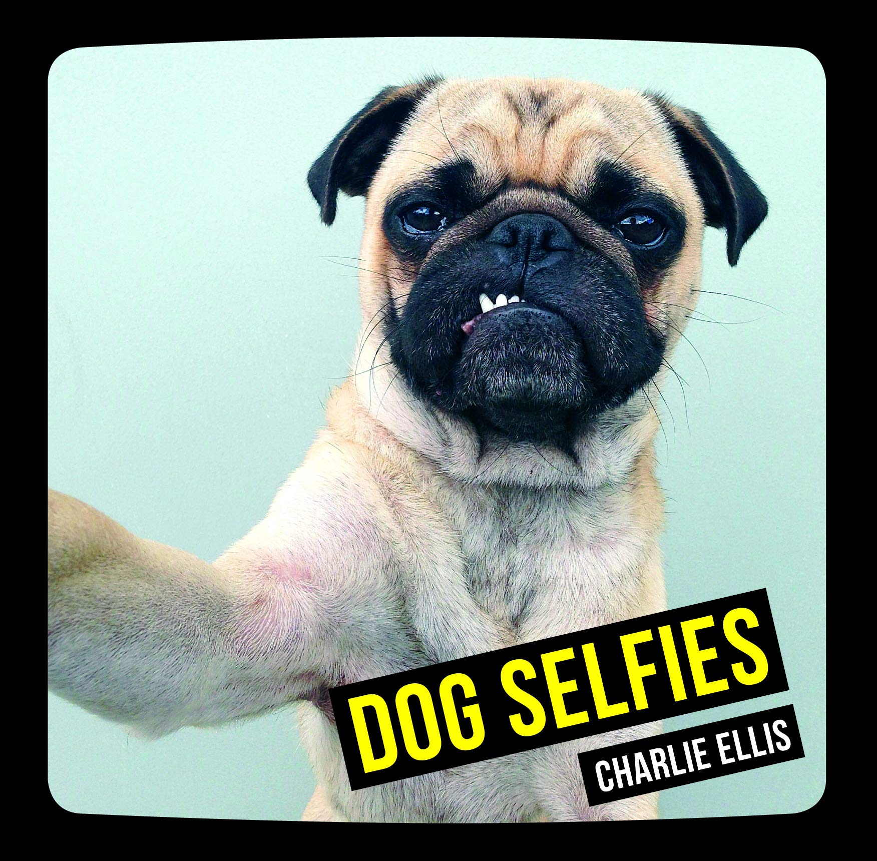 Product Image: Dog Selfies