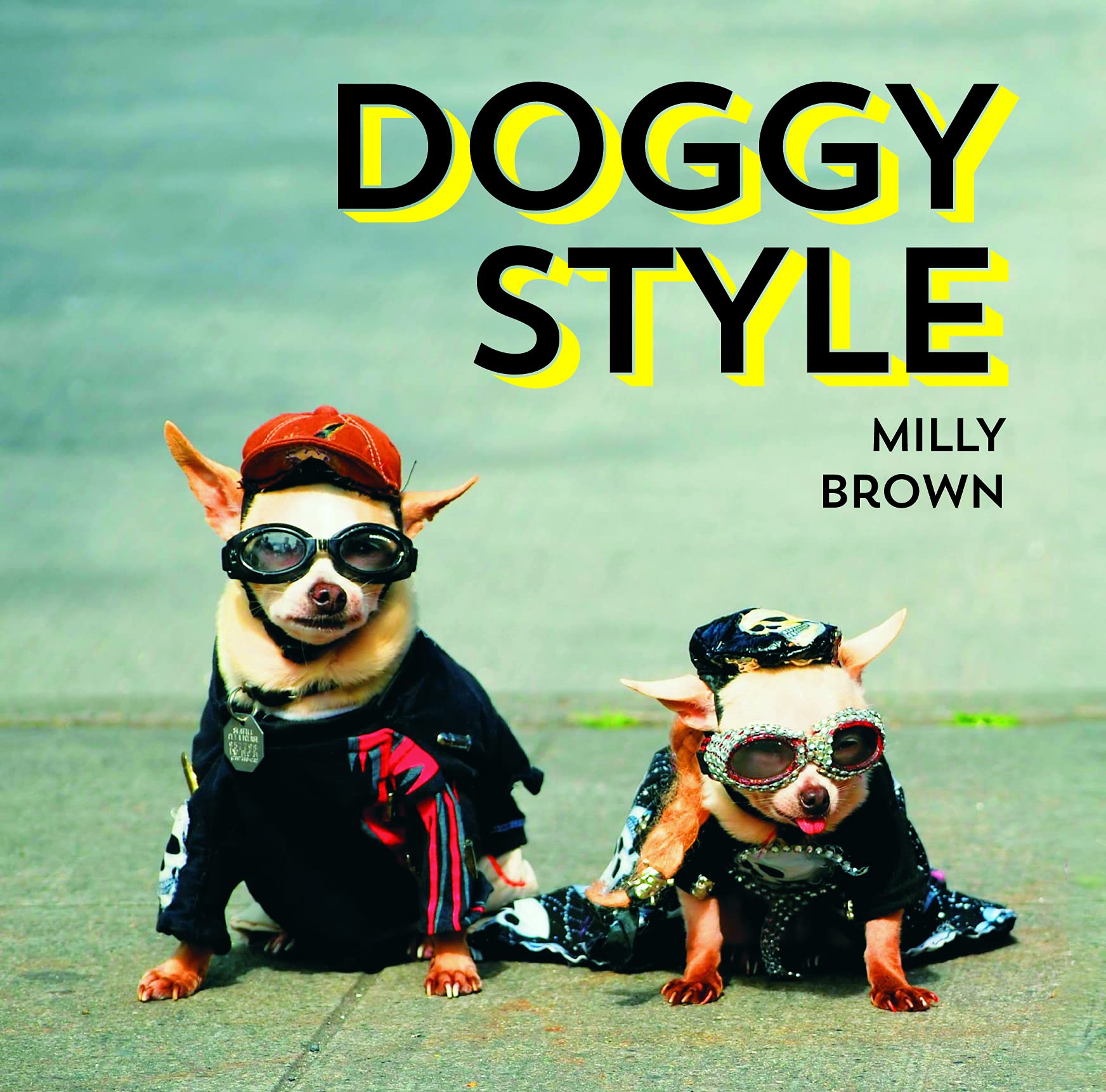 Doggy Style: The Cutest, Funniest and Silliest Haute-Couture Hounds Humour & Satire