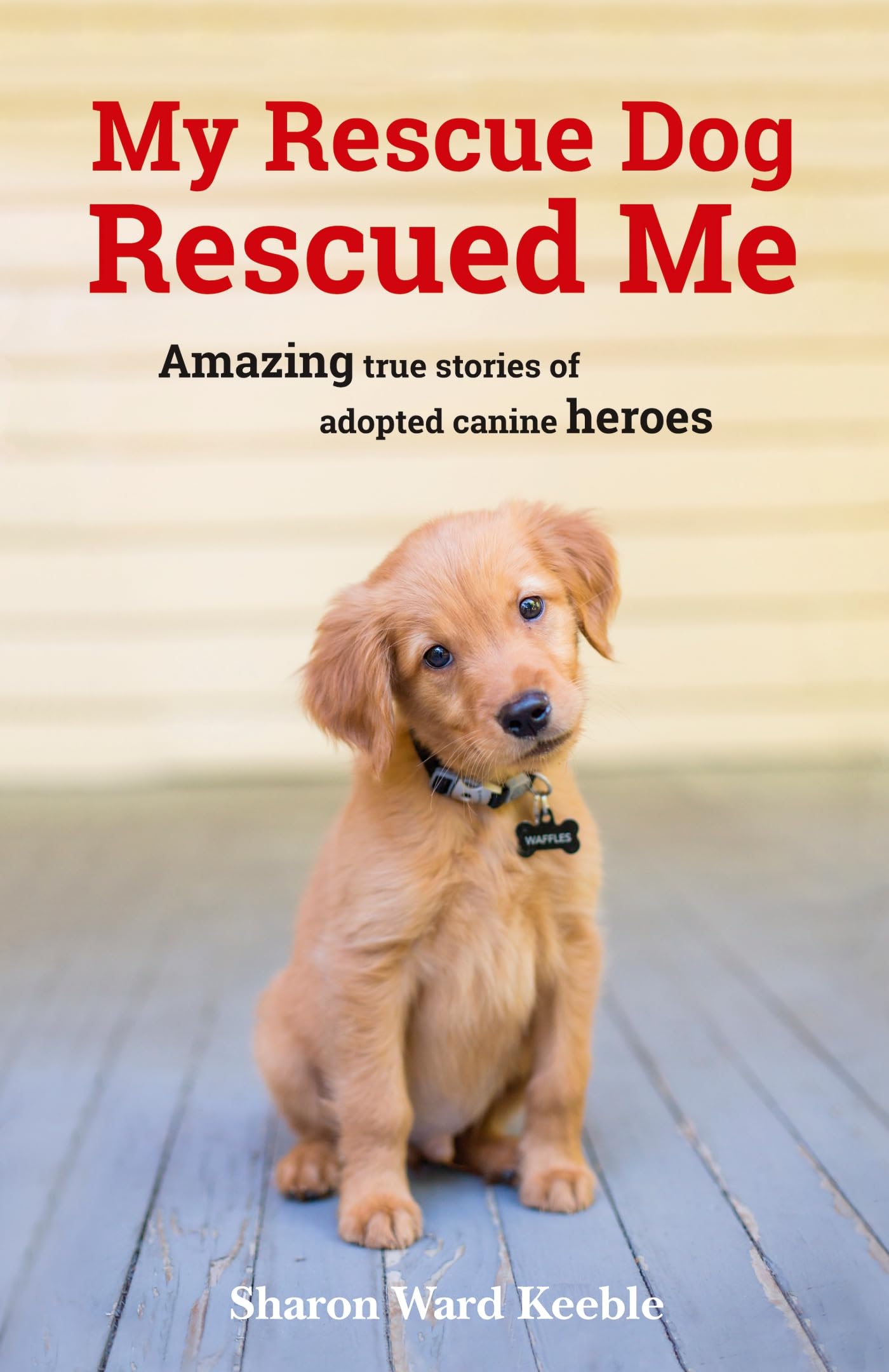 My Rescue Dog Rescued Me: Amazing True Stories of Adopted Canine Heroes Social Sciences