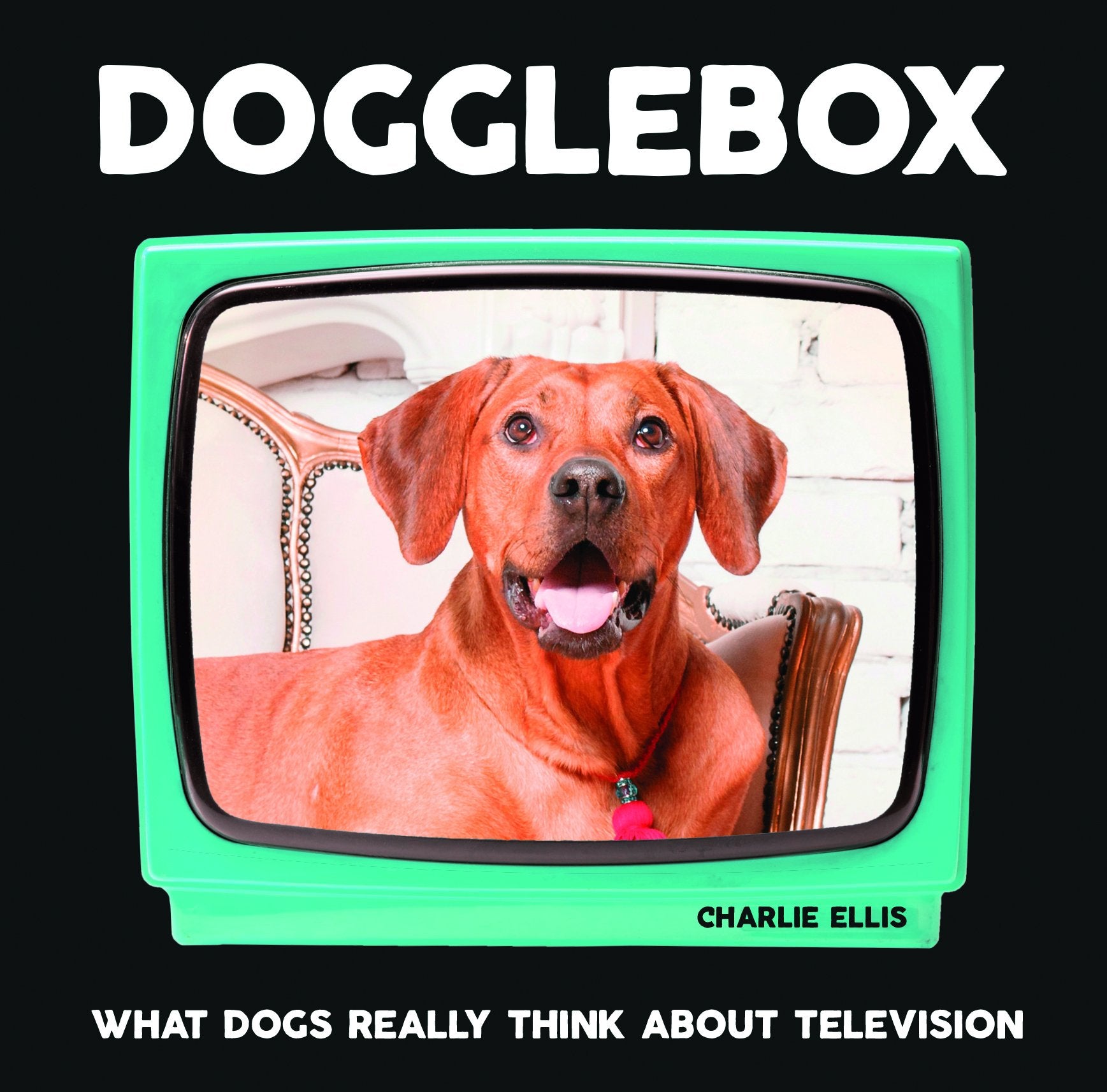 Dogglebox: What Dogs Really Think About Television book