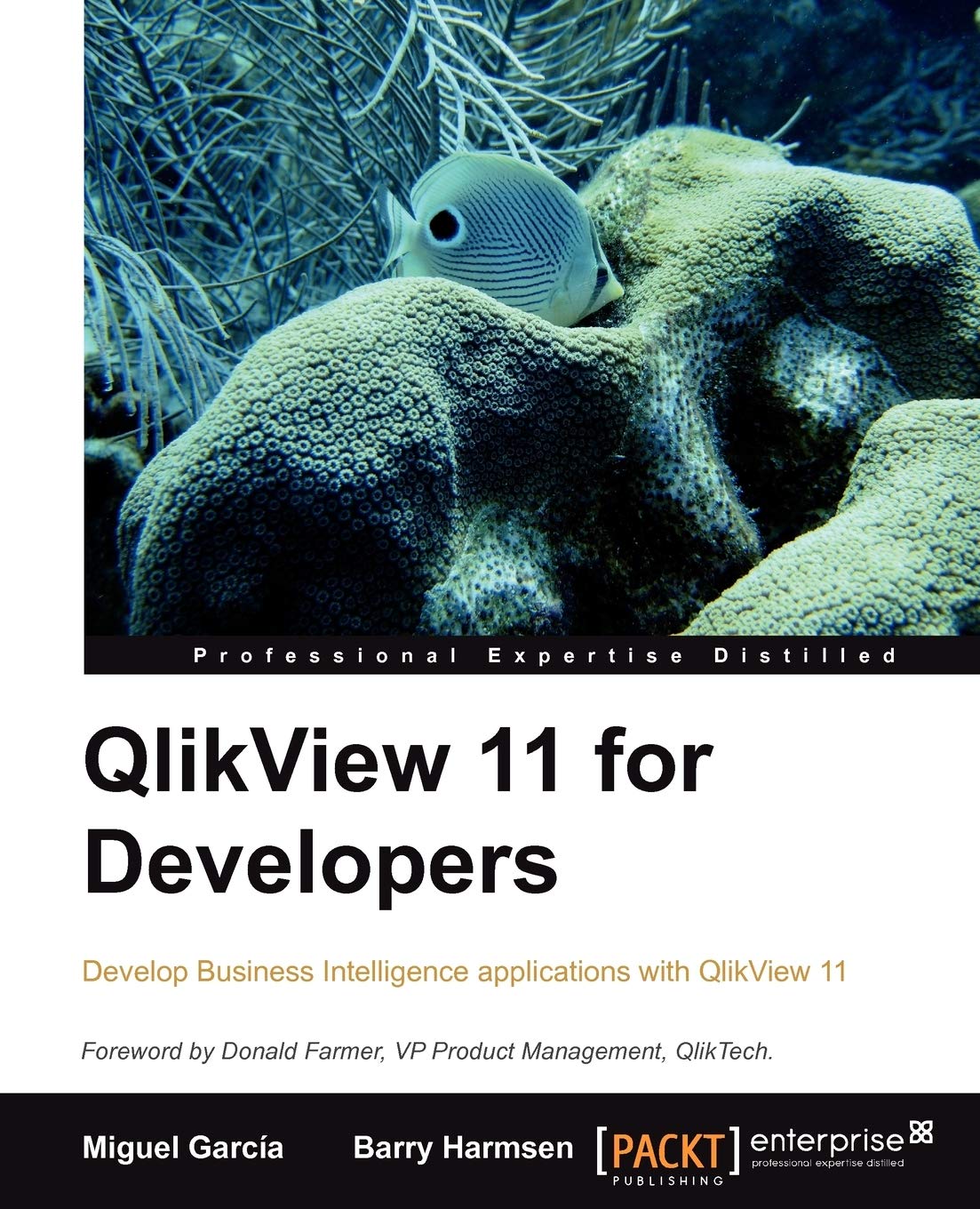 QlikView 11 for Developers (English Edition): This book is smartly built around a practical case study - HighCloud Airlines - to help you gain an ... using QlikView. A superb hands-on guide Business, Finance & Career