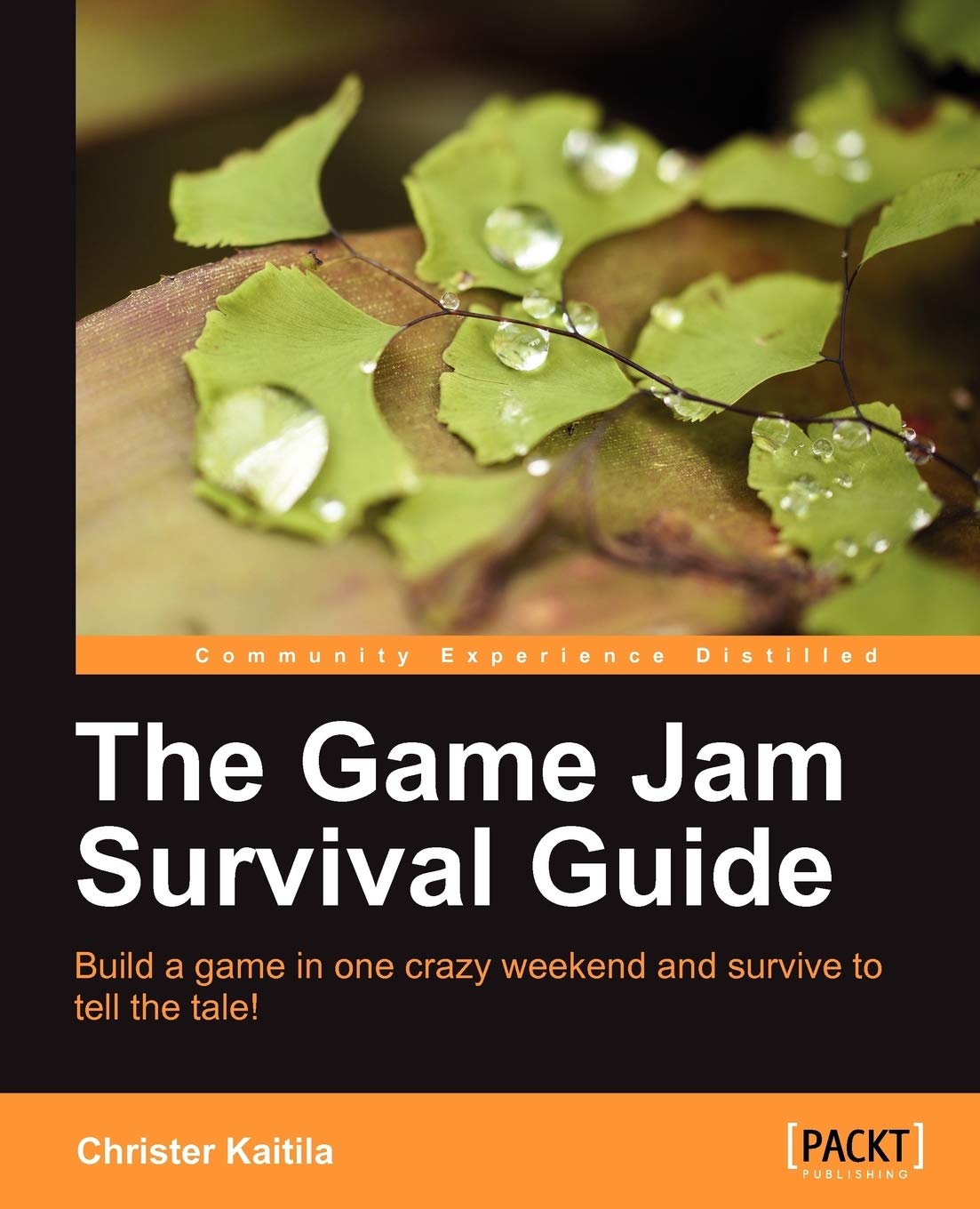 The Game Jam Survival Guide (English Edition): Build a Game in One Crazy Weekend and Survive to Tell the Tale! Computer Science