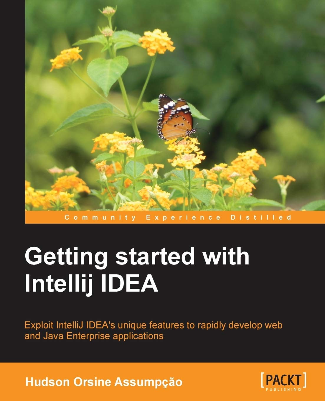 Getting started with IntelliJ IDEA (English Edition) Computer Science
