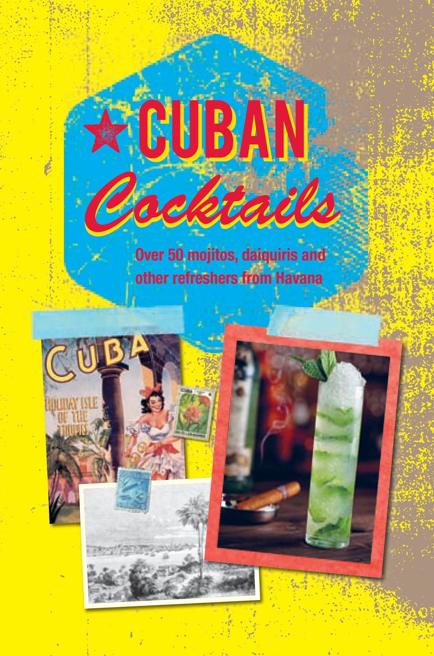 Cuban Cocktails: Over 50 Mojitos, Daiquiris and Other Refreshers from Havana Leisure, Home & Garden
