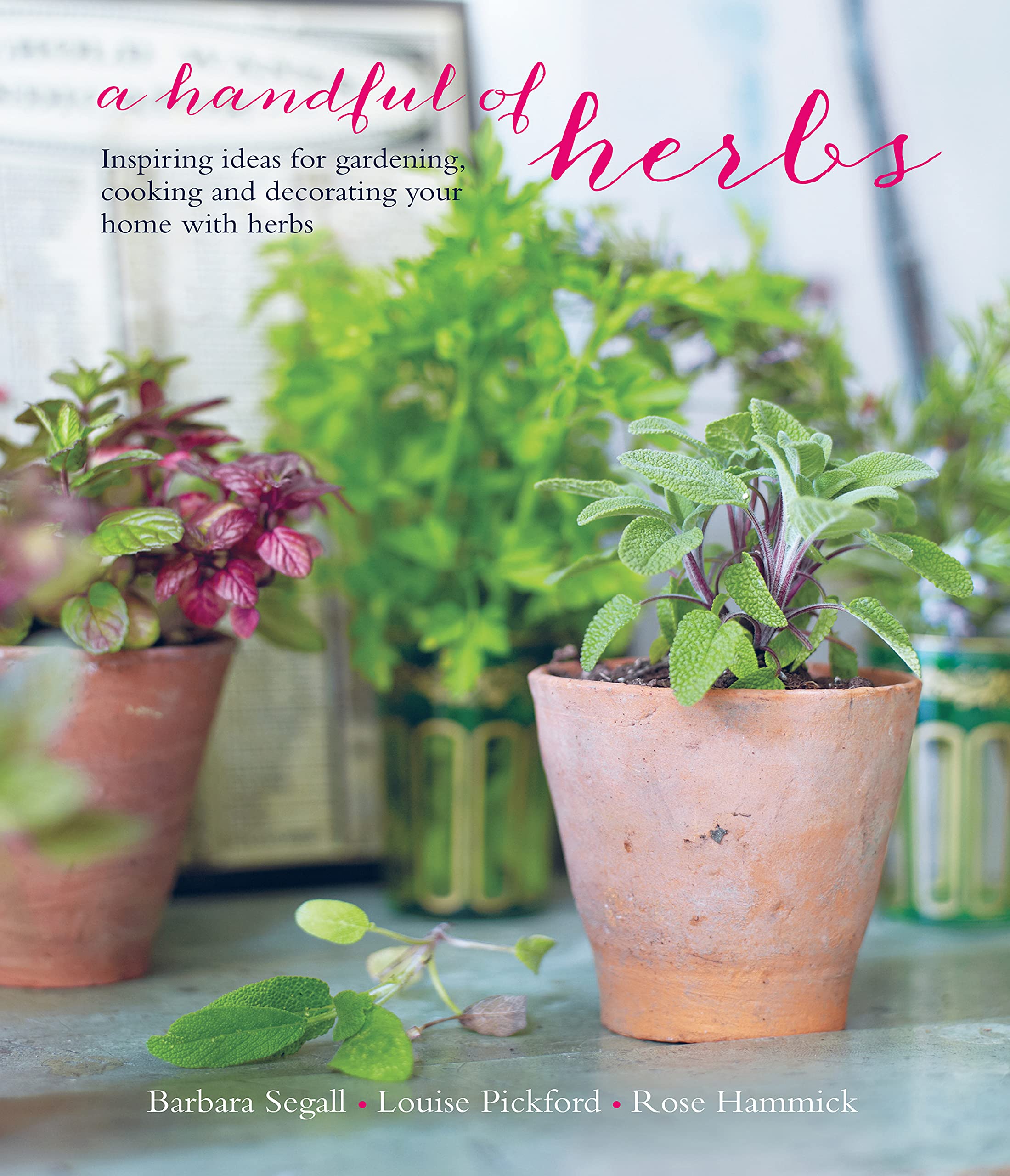 A Handful of Herbs: Inspiring Ideas for Gardening, Cooking and Decorating Your Home with Herbs Hobbies & Crafts