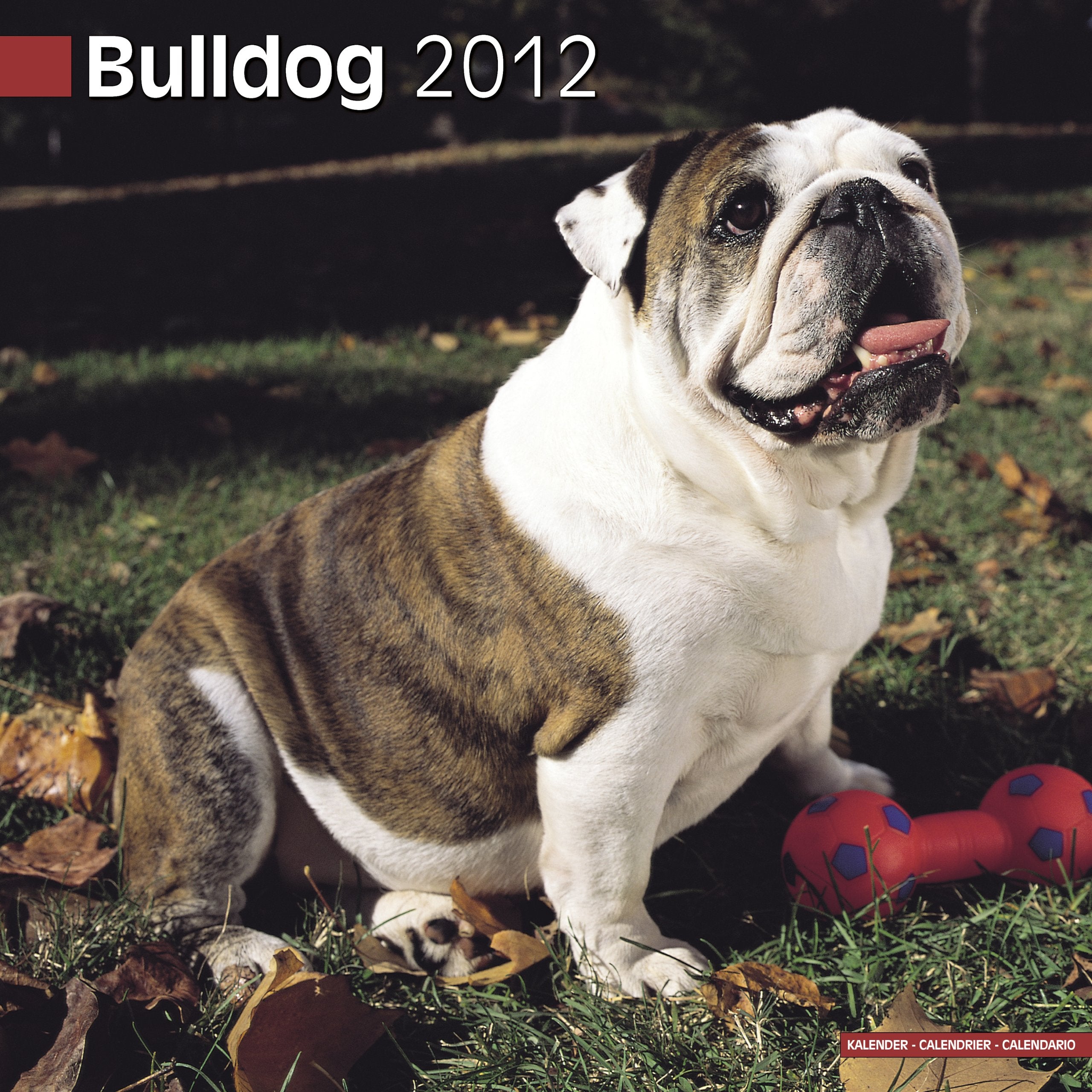 Bulldog 2012 Wall Calendar #10024-12 Calendars