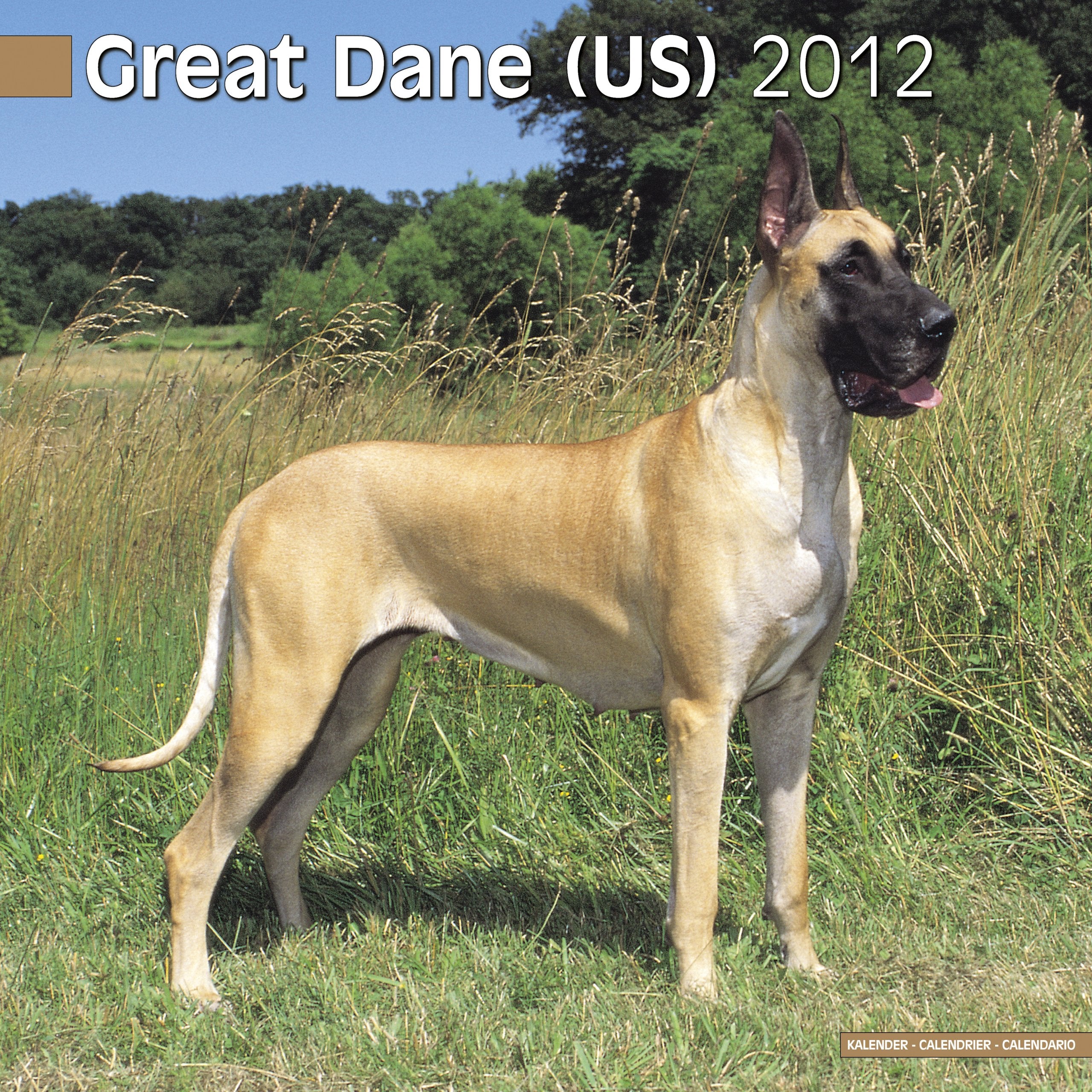 Product Image: Great Dane (US) 2012 Wall Calendar #10042-12