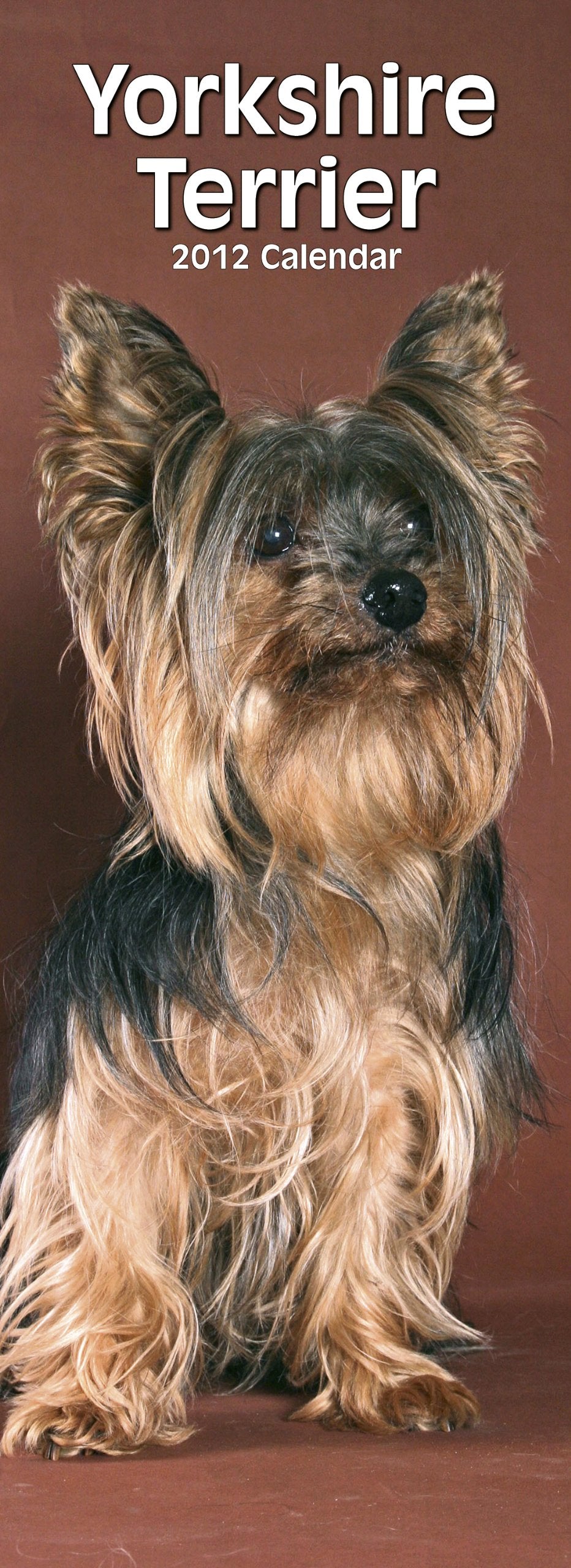 Yorkshire Terrier Wandkalender 2012 Books