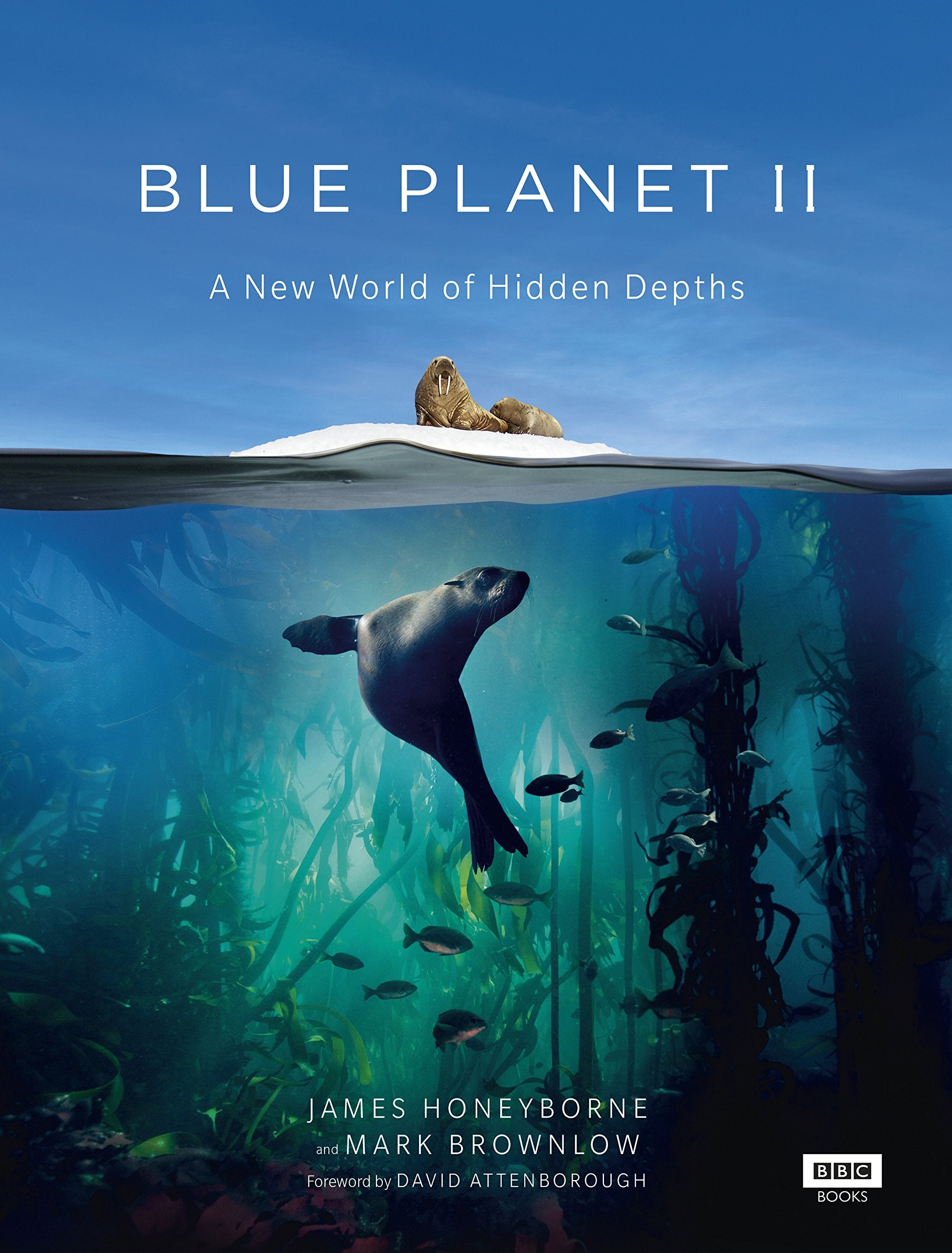Product Image: Blue Planet II