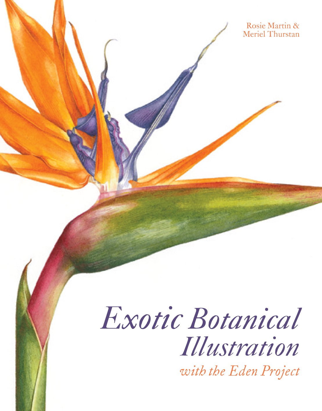 Product Image: Exotic Botanical Illustration