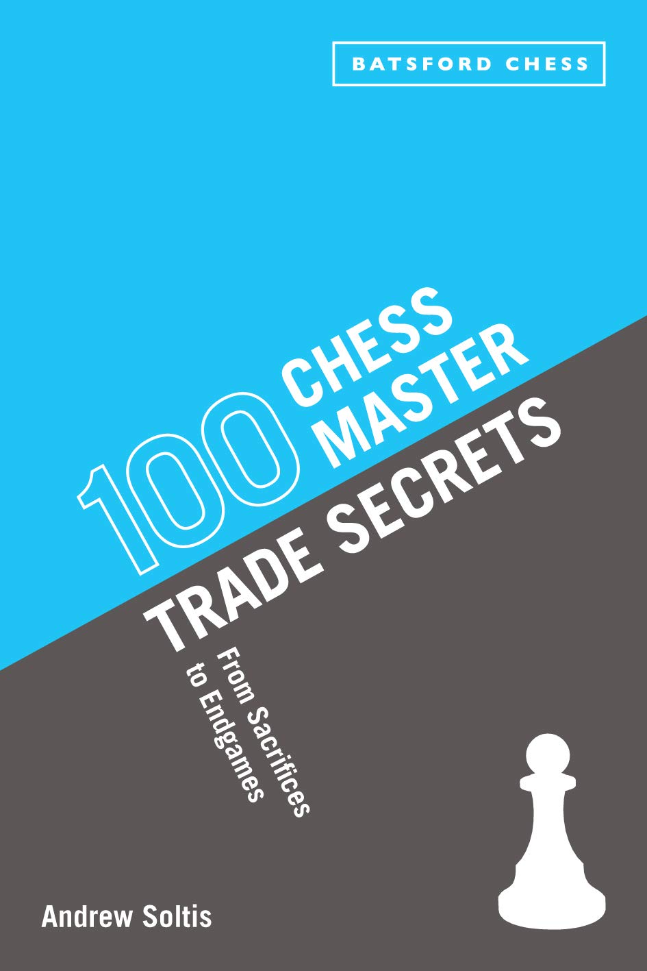 100 Chess Master Trade Secrets: From Sacrifices to Endgames Leisure & Fun