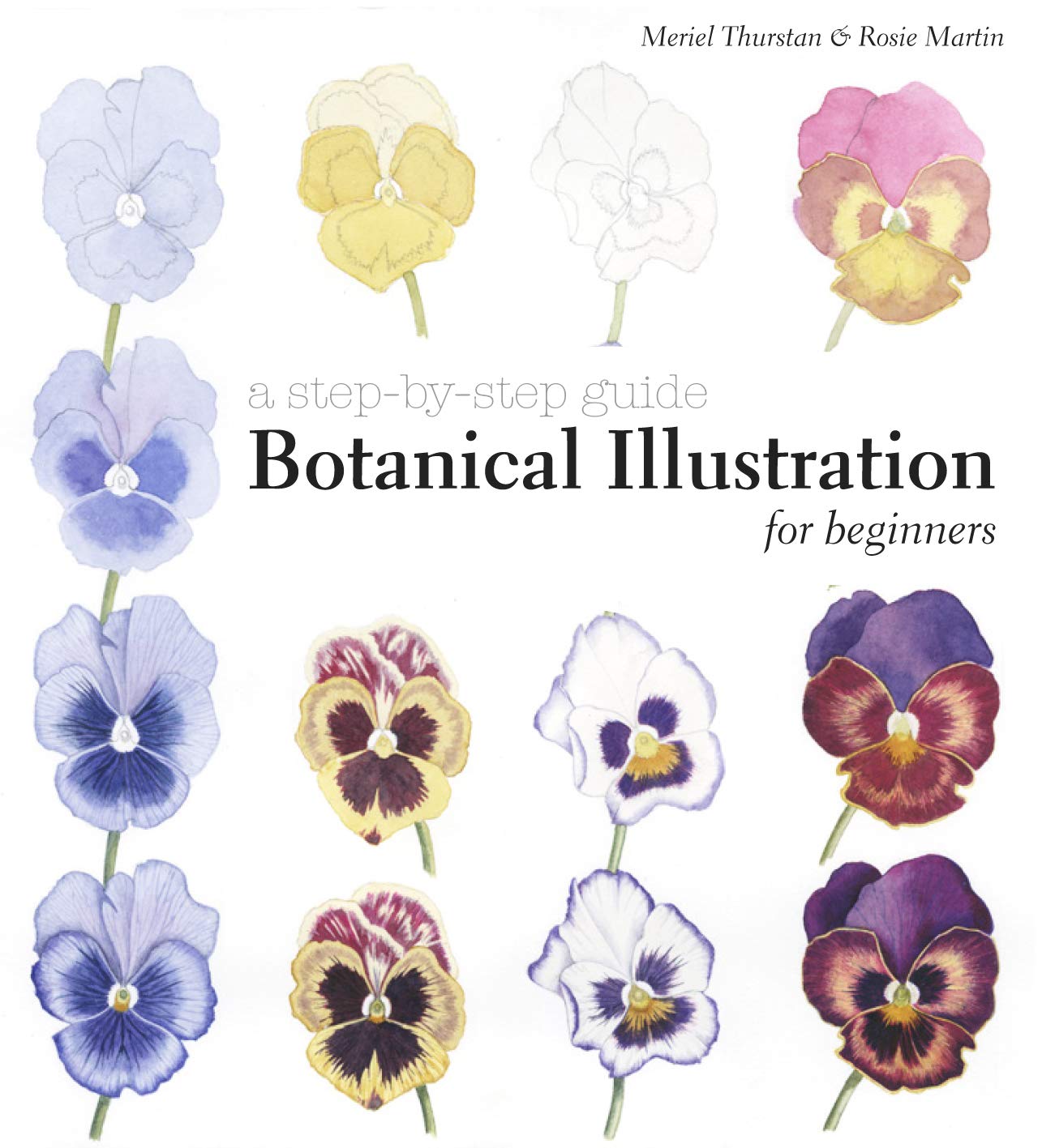 Botanical Illustration for Beginners Business, Finance & Career Books