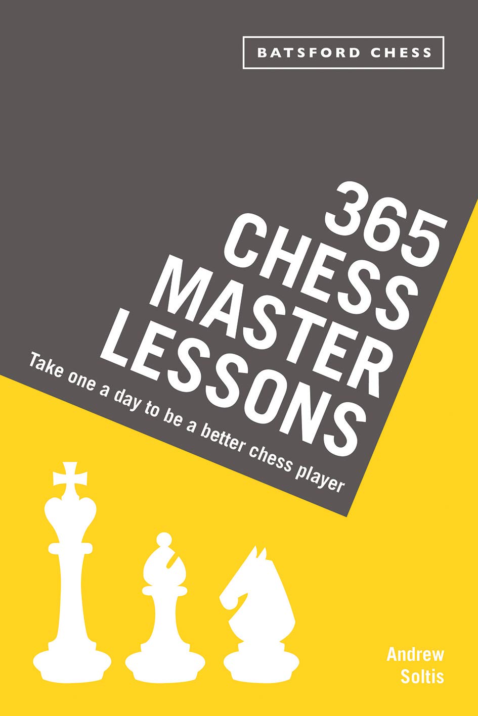 365 Chess Master Lessons Leisure & Fun