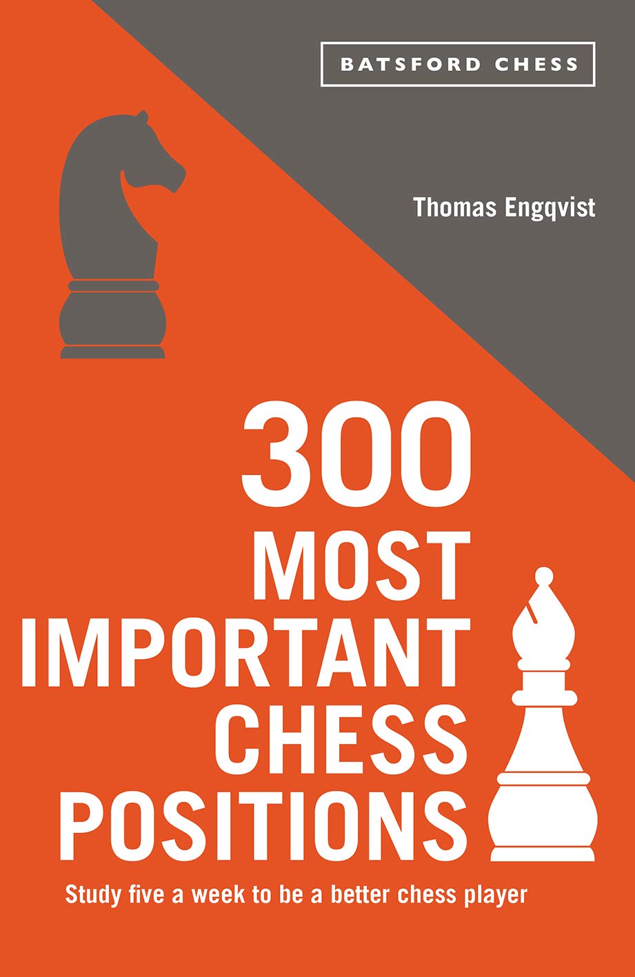 300 Most Important Chess Positions: Study Five a Week to Be a Better Chess Player (Batsford Chess) Leisure & Fun
