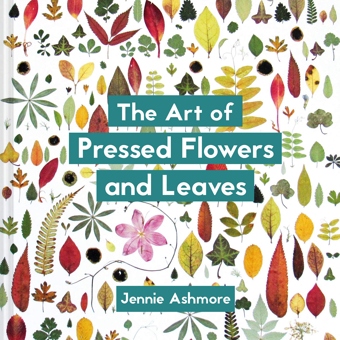 The Art of Pressed Flowers and Leaves: Contemporary techniques & designs Hobbies & Crafts