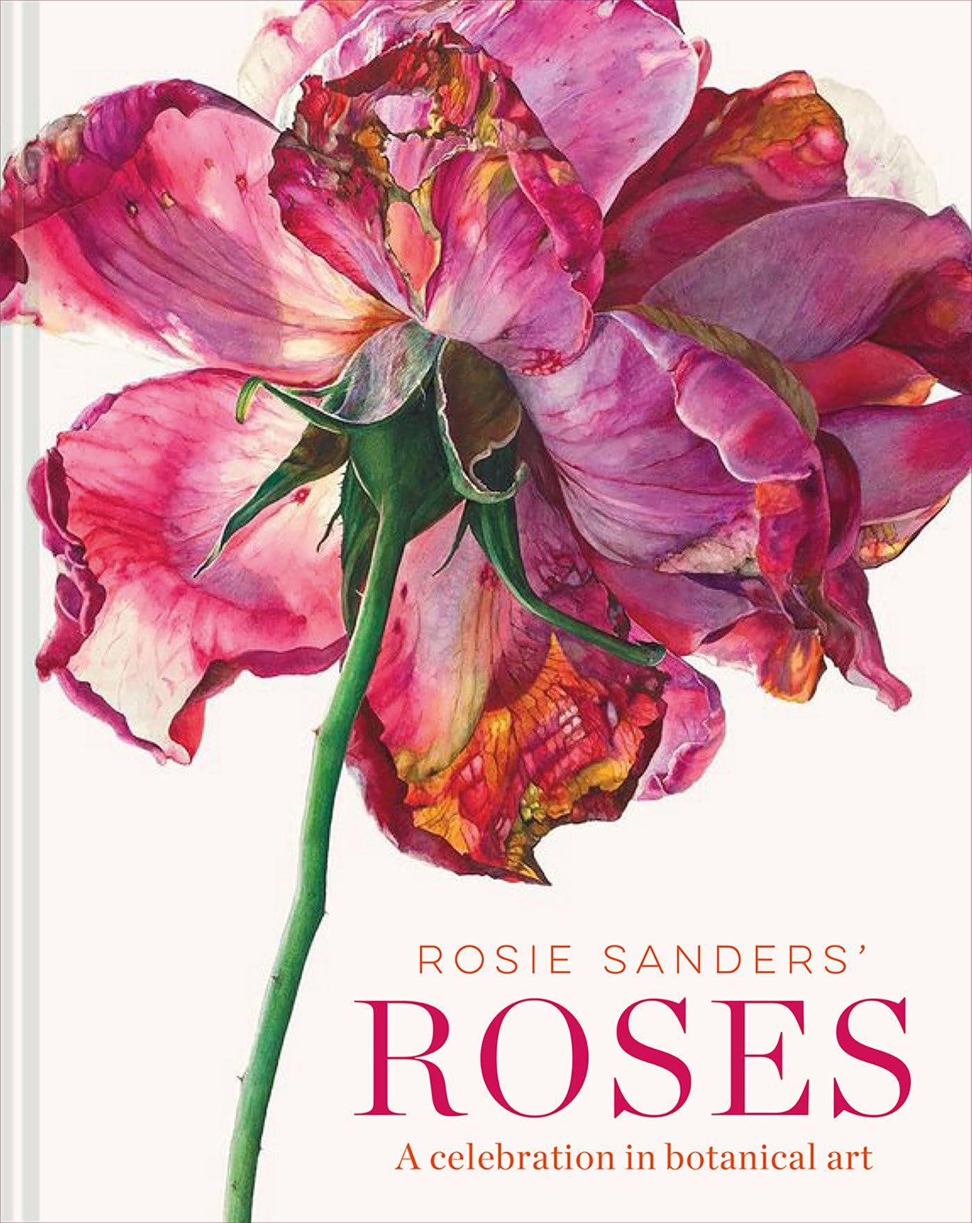 Rosie Sanders' Roses: A celebration in botanical art Film, Art & Culture