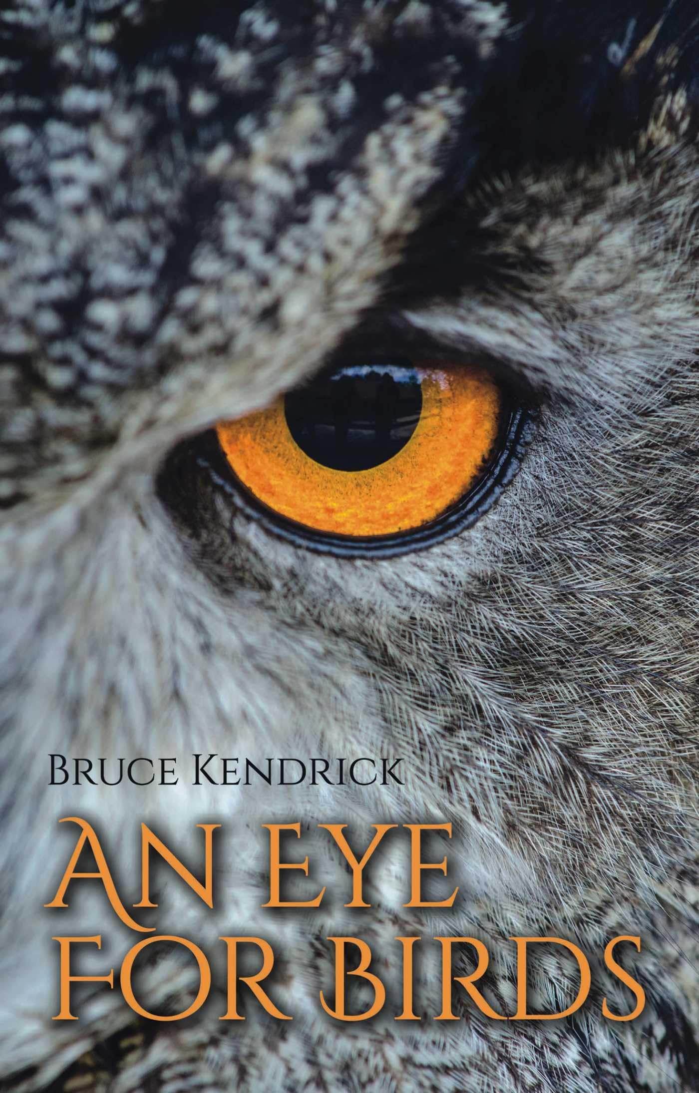 An Eye for Birds: Reflections on Nature and Conservation Memories