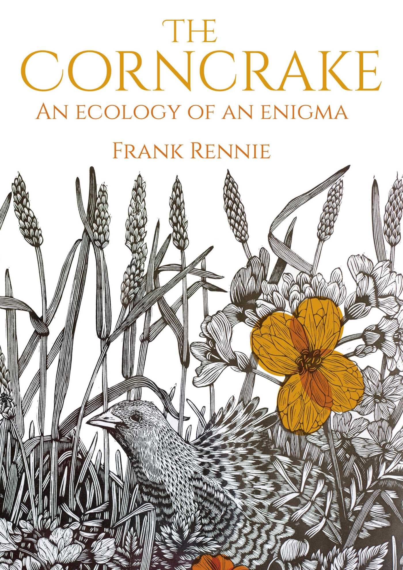 The Corncrake: An Ecology of an Enigma Mathematics