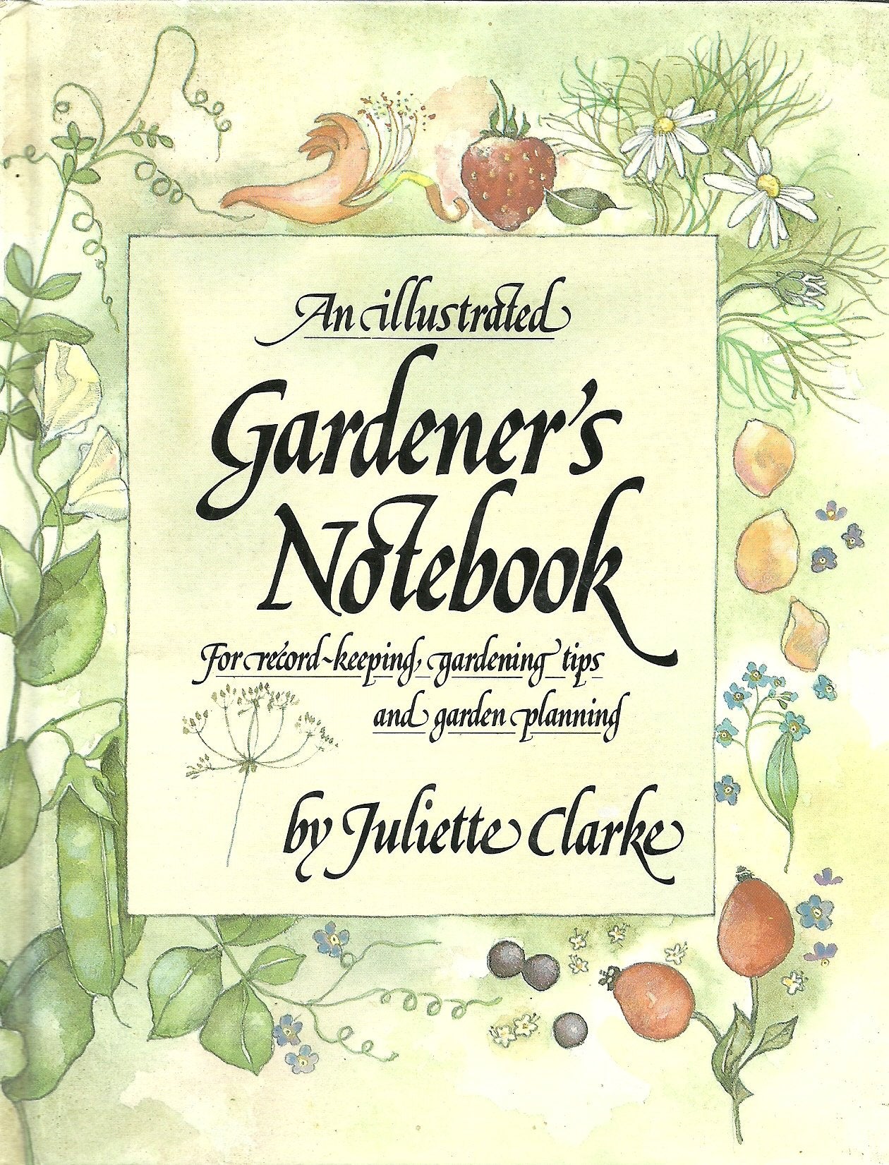 An Illustrated Gardener's Notebook (Illustrated Notebooks) Garden & Plants
