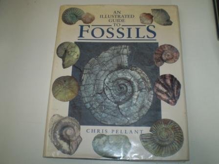 Product Image: ILL GDE TO FOSSILS