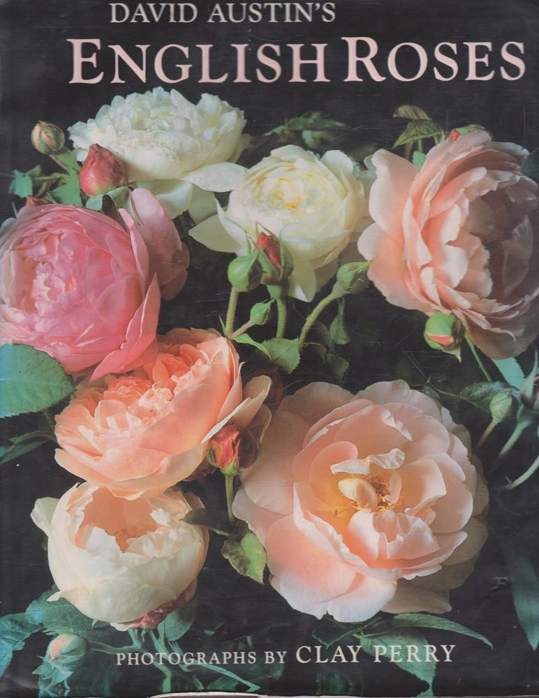 Product Image: David Austin's English Roses