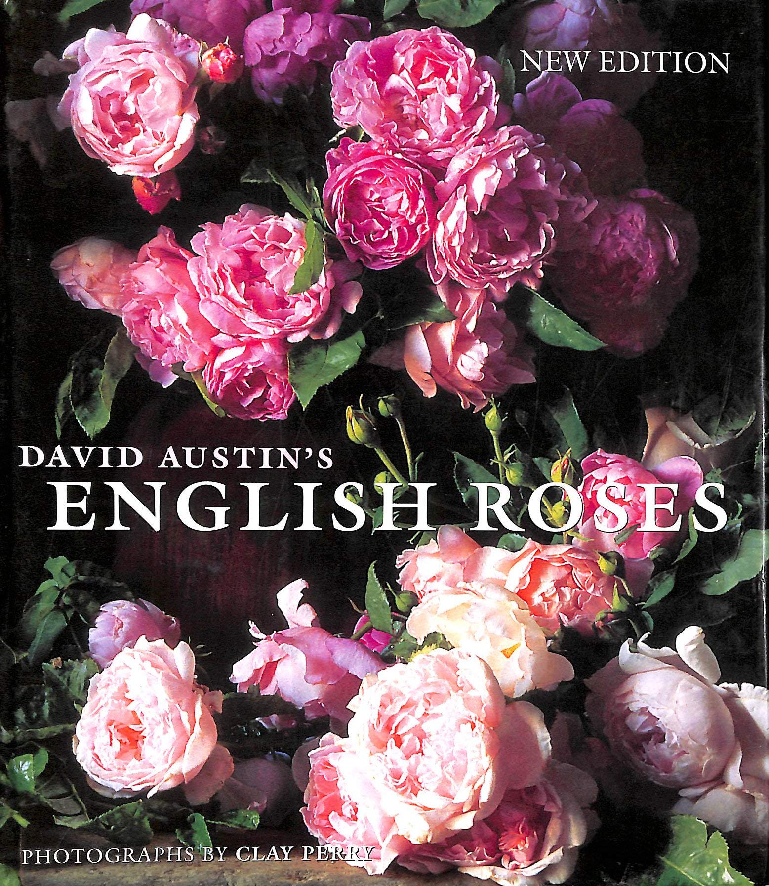 David Austin's English Roses Second-hand books on film, art and culture