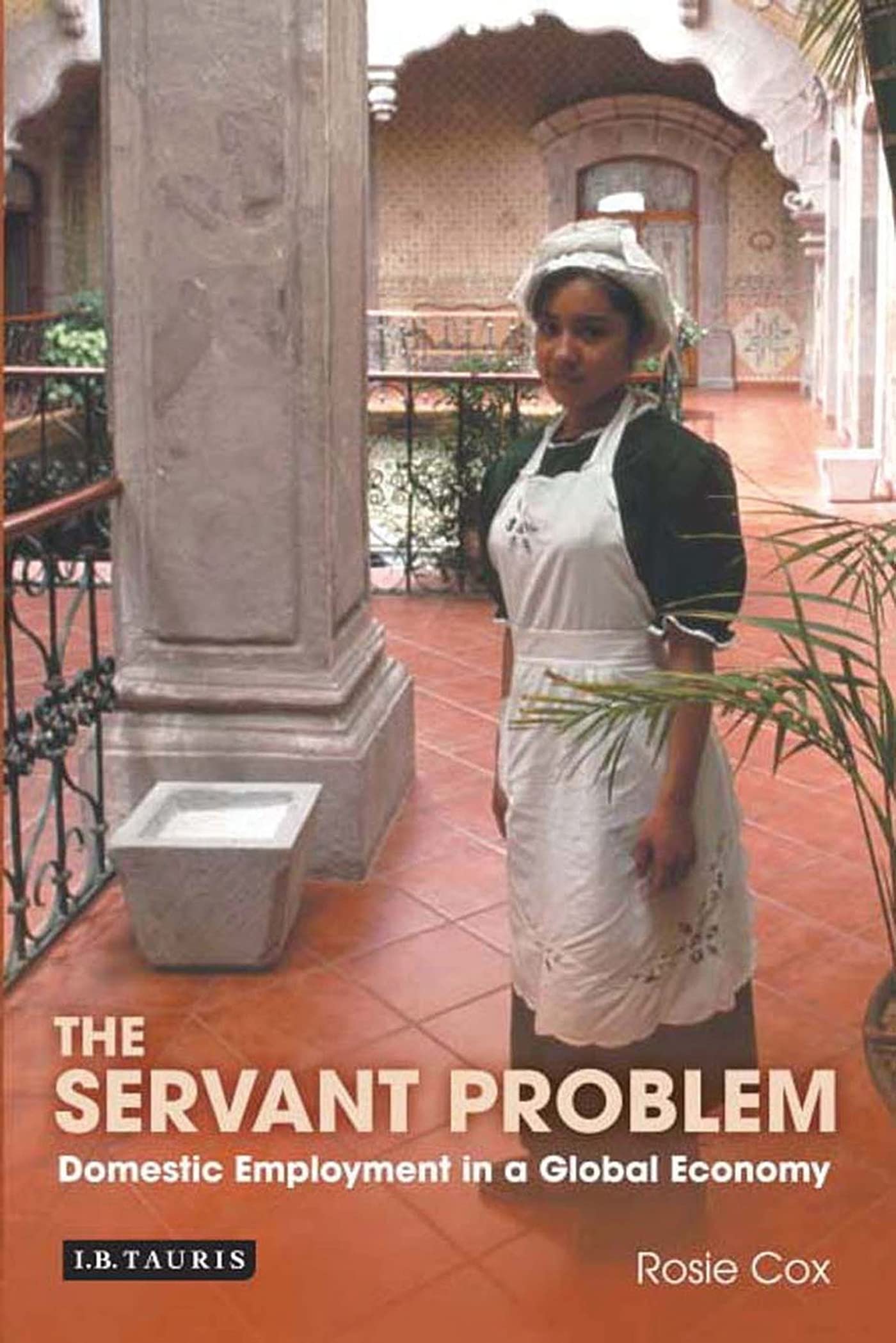 The Servant Problem: The Home Life of a Global Economy: Domestic Employment in a Global Economy Social Sciences