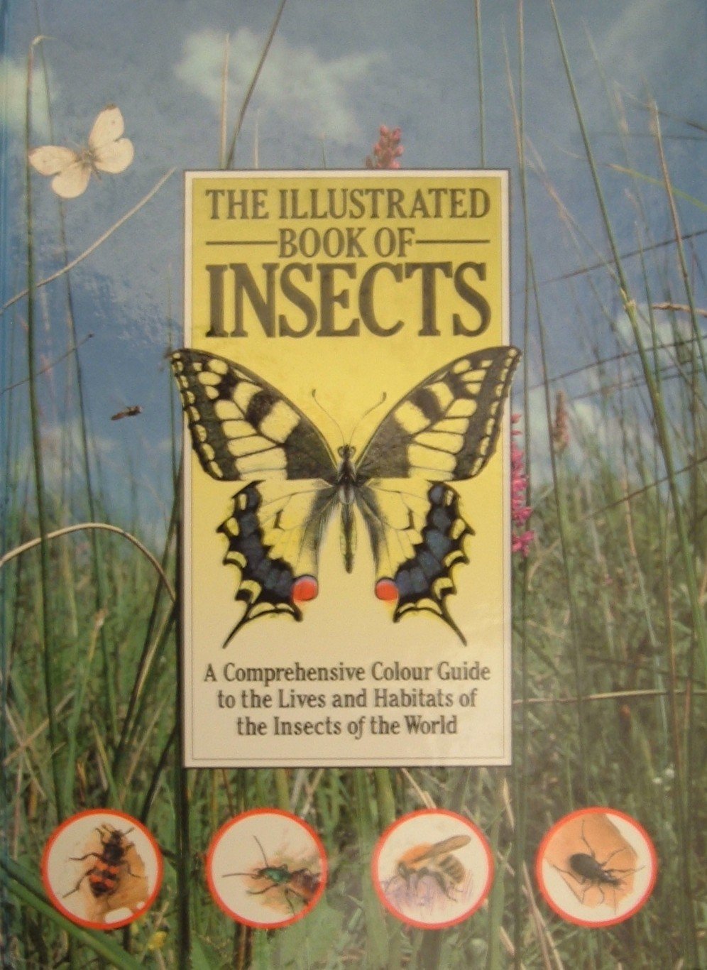 Illustrated Book of Insects book