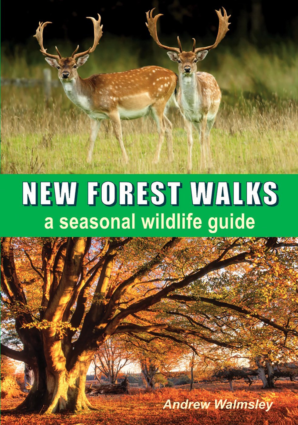 New Forest Walks: A Seasonal Wildlife Guide Social Sciences