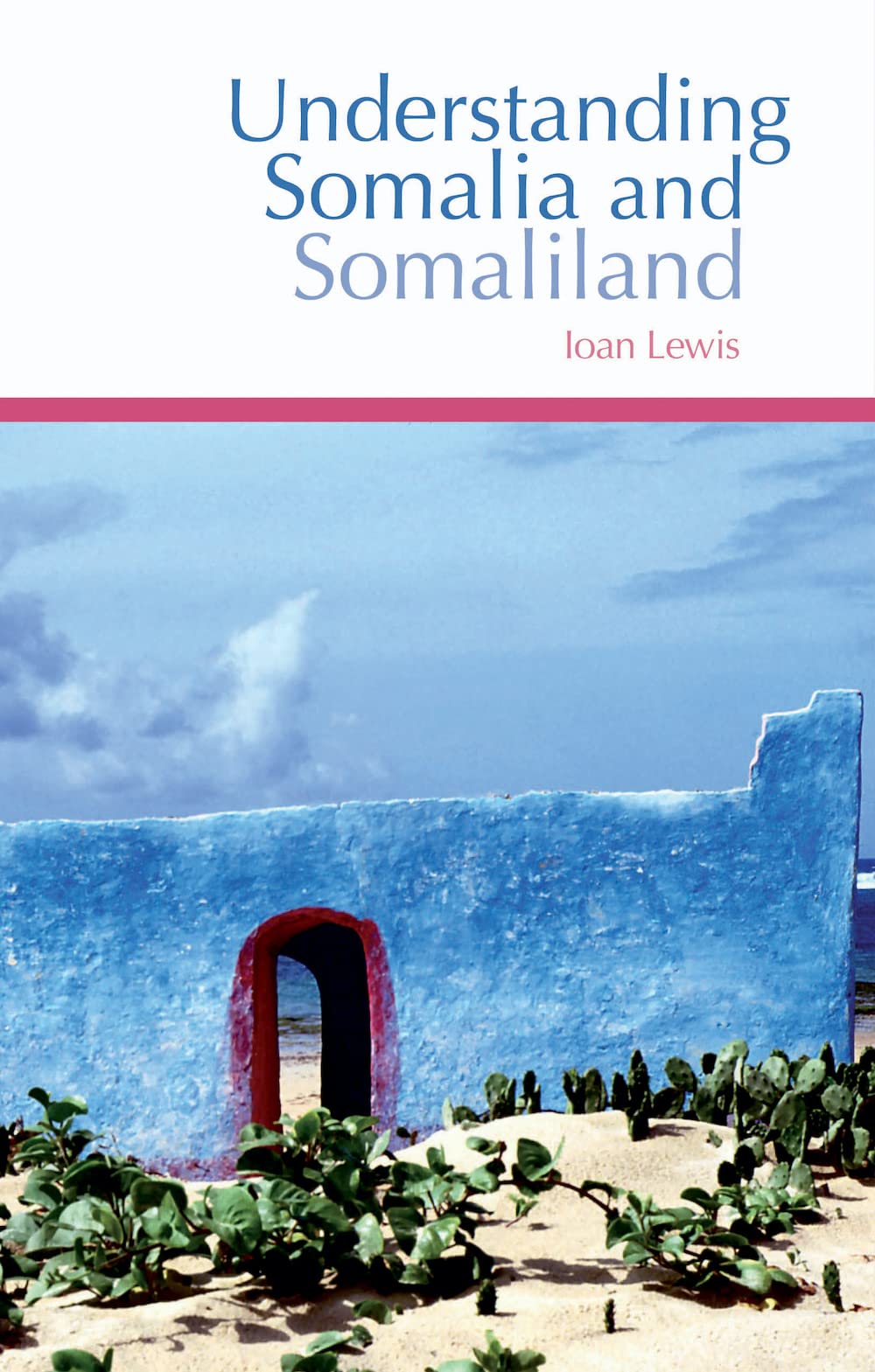 Understanding Somalia and Somaliland: Culture, History and Society Social Sciences